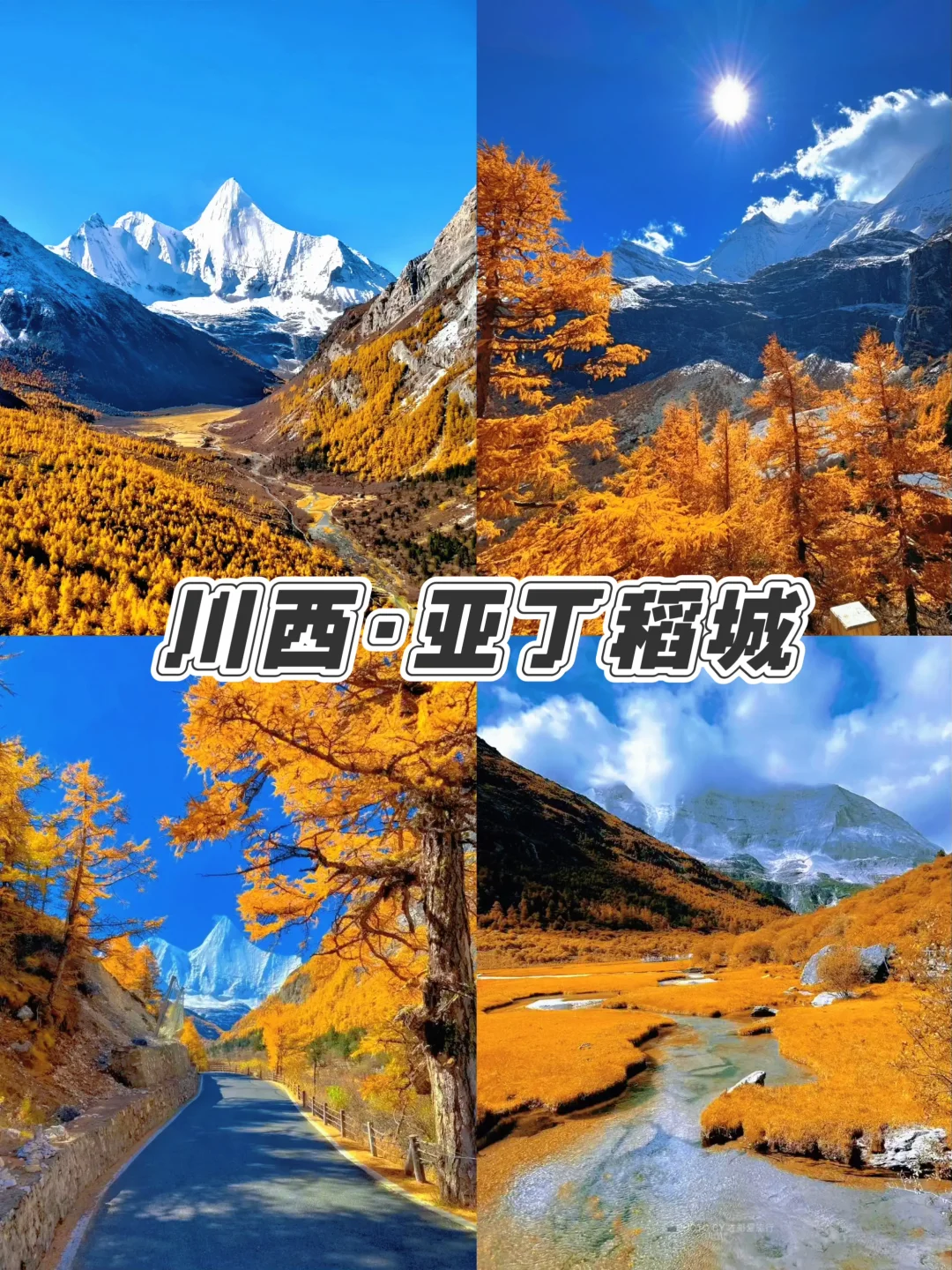 🍁9-12月必打卡城市，美到窒息，错过等一年！