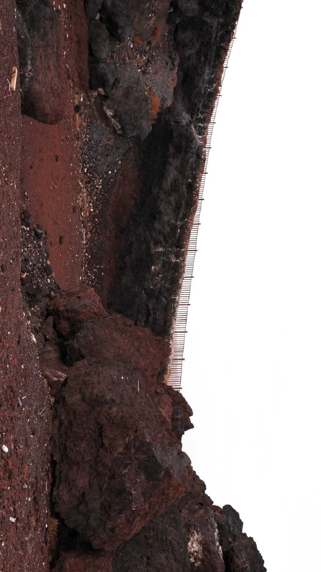 乌兰哈达火山有虫灾