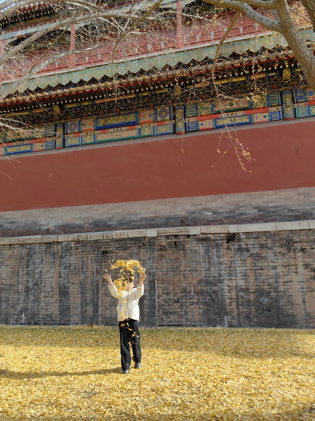 跟风成功!北京赏秋打卡地详细路线