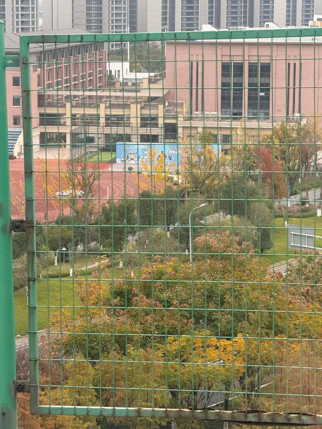 🌟 普陀山：一个人的朝圣之旅