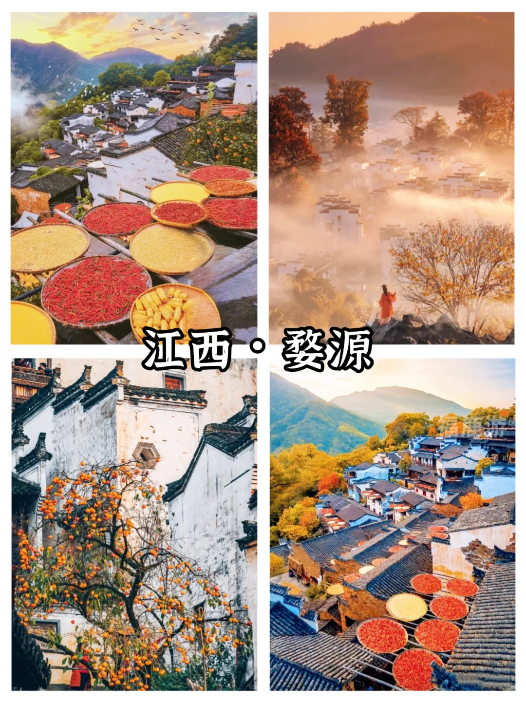 全国10-12月赏秋保姆级攻略|收藏这篇就够了