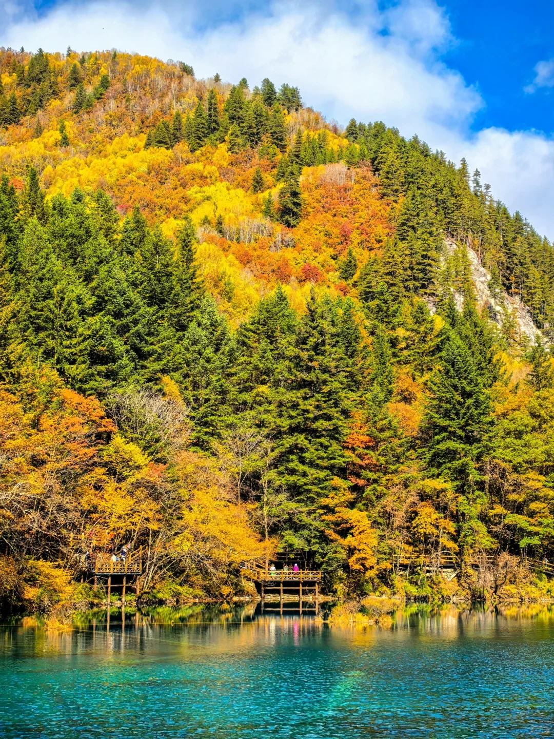 10.14📍九寨沟现状崩溃！能劝一个是一个