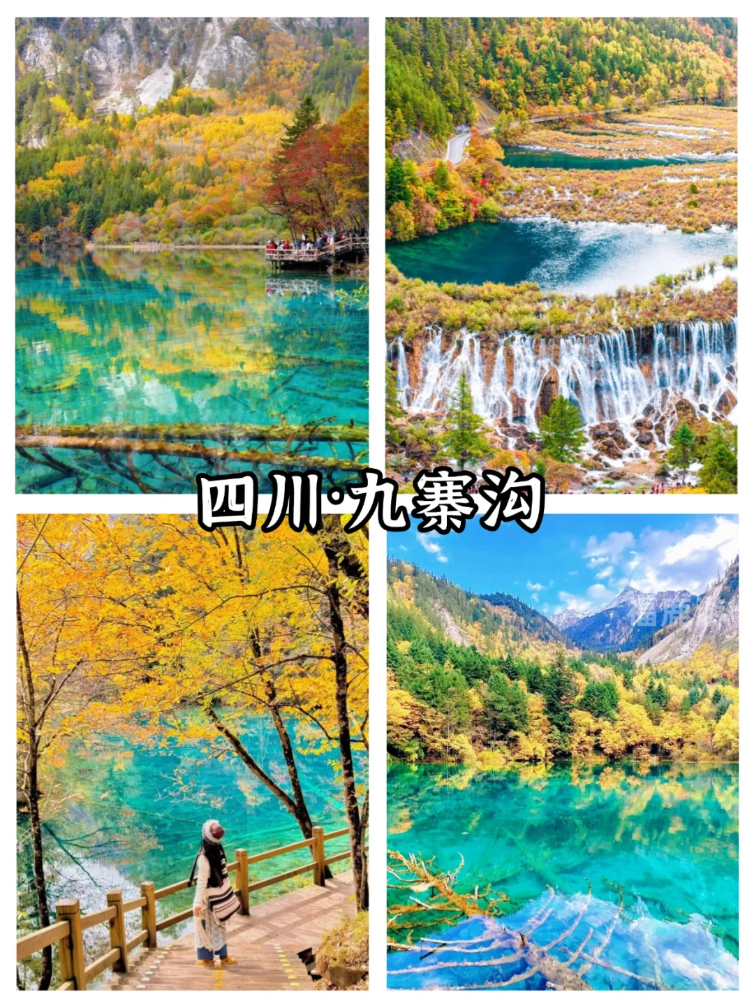 全国10-12月赏秋保姆级攻略|收藏这篇就够了