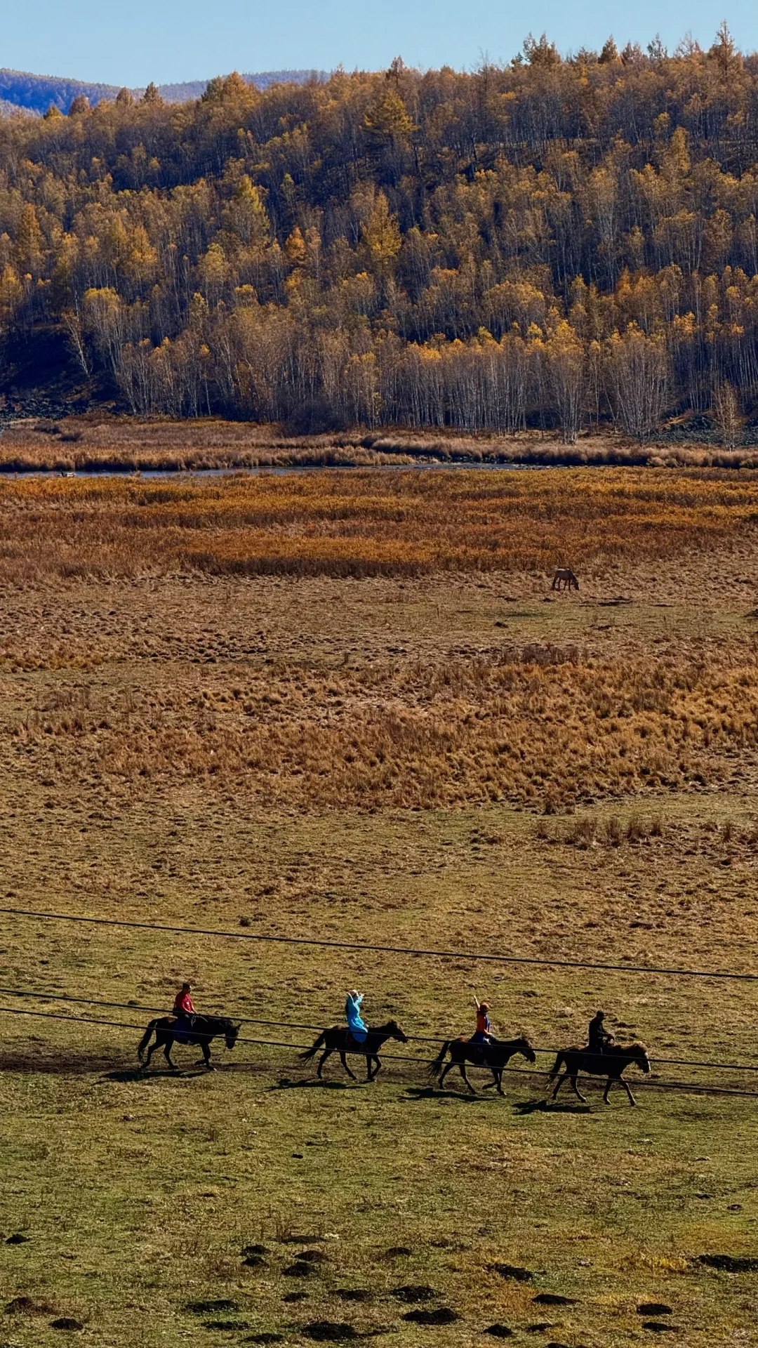用18张live 打开大兴安岭的秋