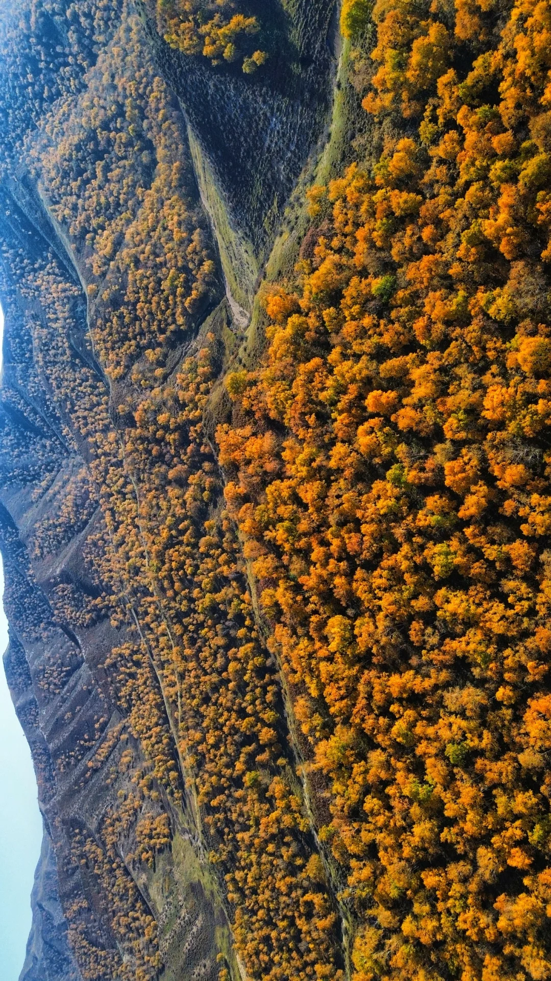 包头以及周边徒步赏秋推荐