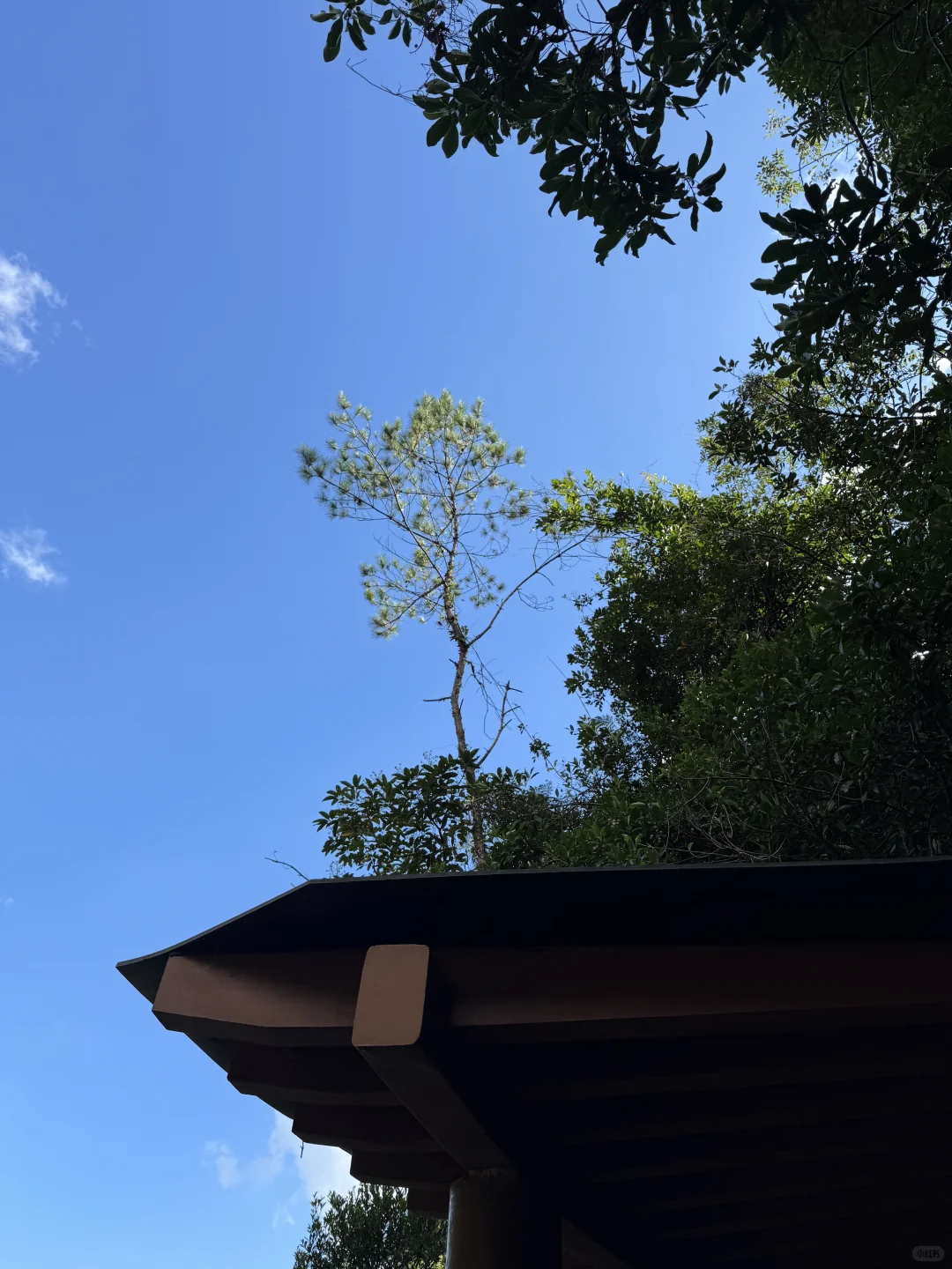 白江湖～