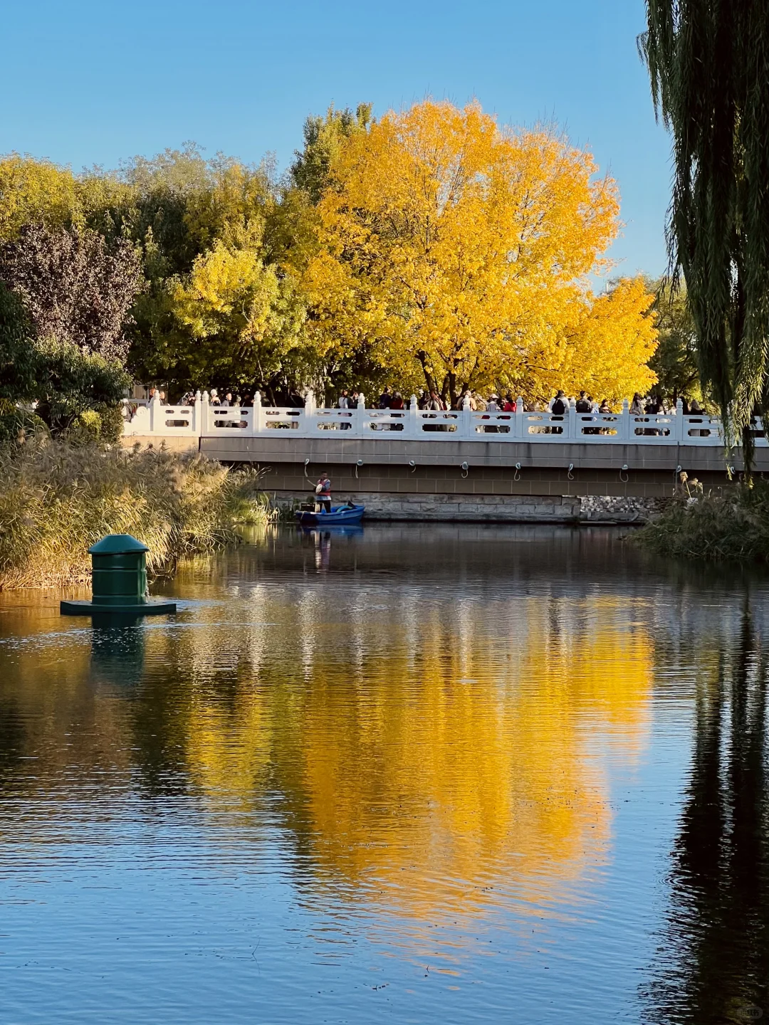 北京赏秋🍂暴走2w步总结的胡同Citywalk路线