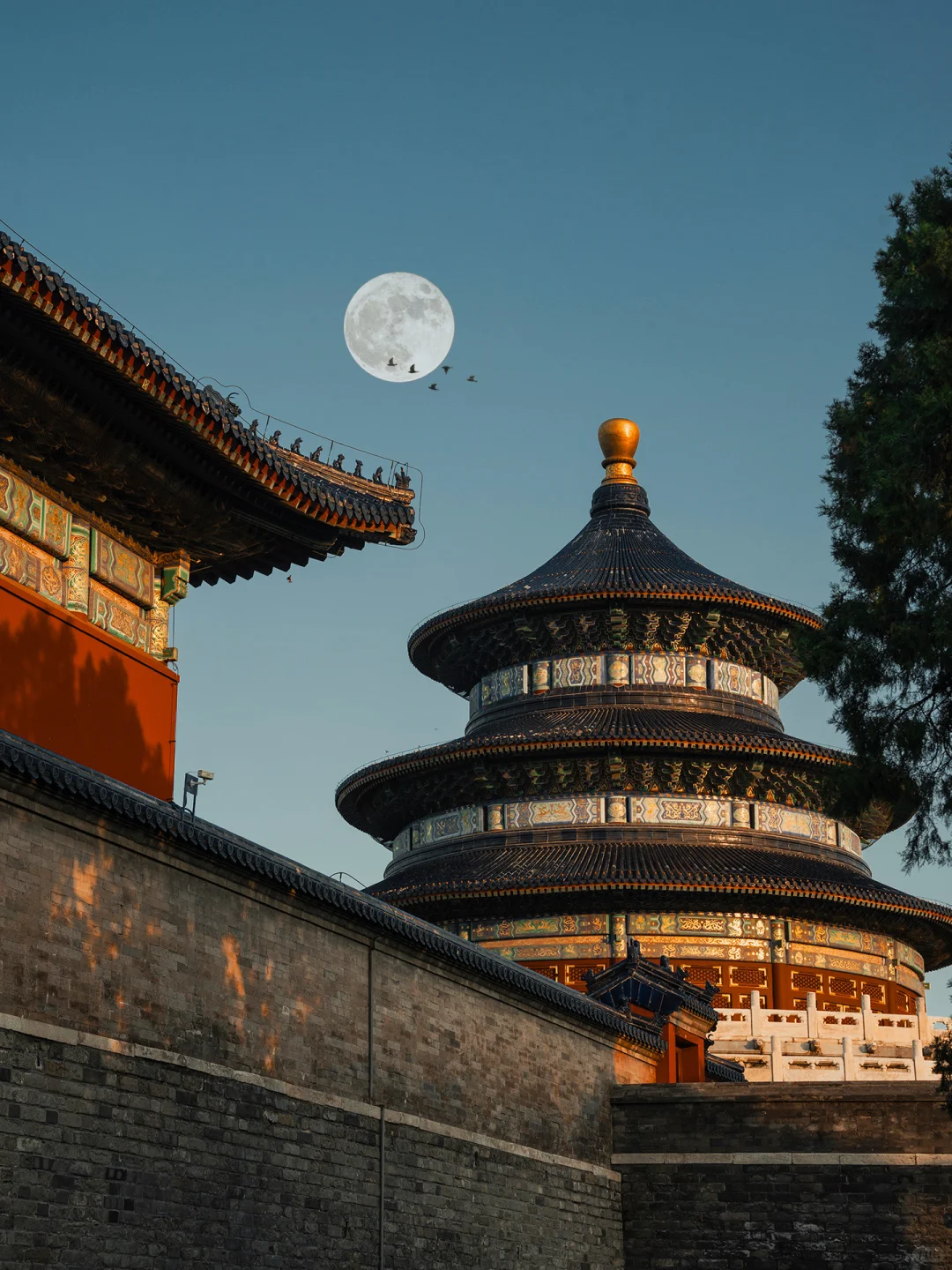 为了这①⑧张图，我特意飞了一趟北京，值得么❓
