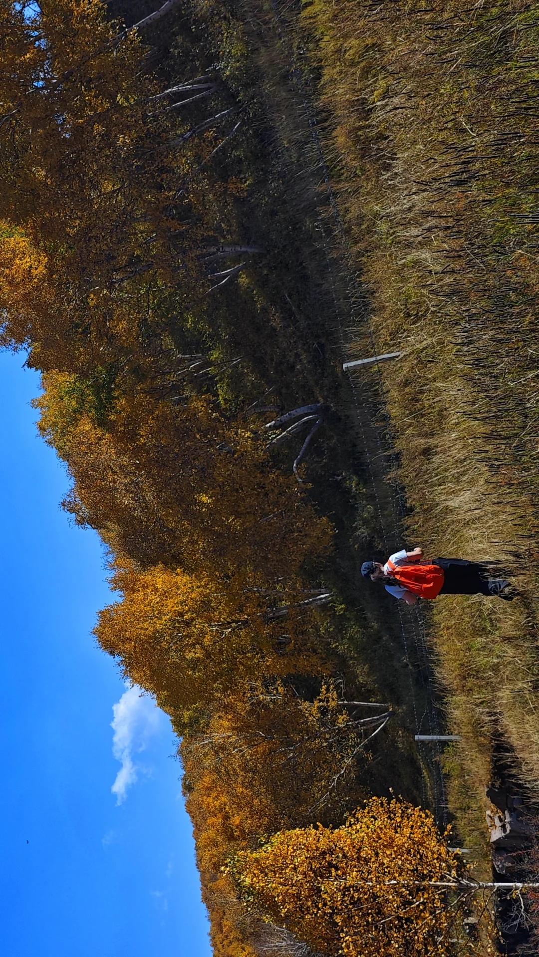 包头以及周边徒步赏秋推荐