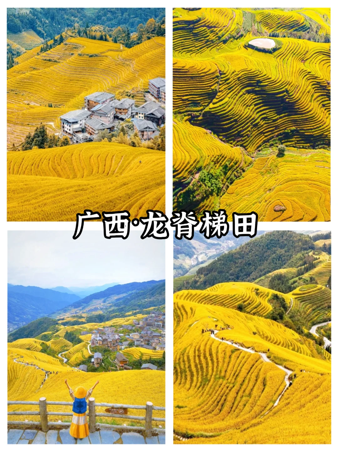 全国10-12月赏秋保姆级攻略|收藏这篇就够了