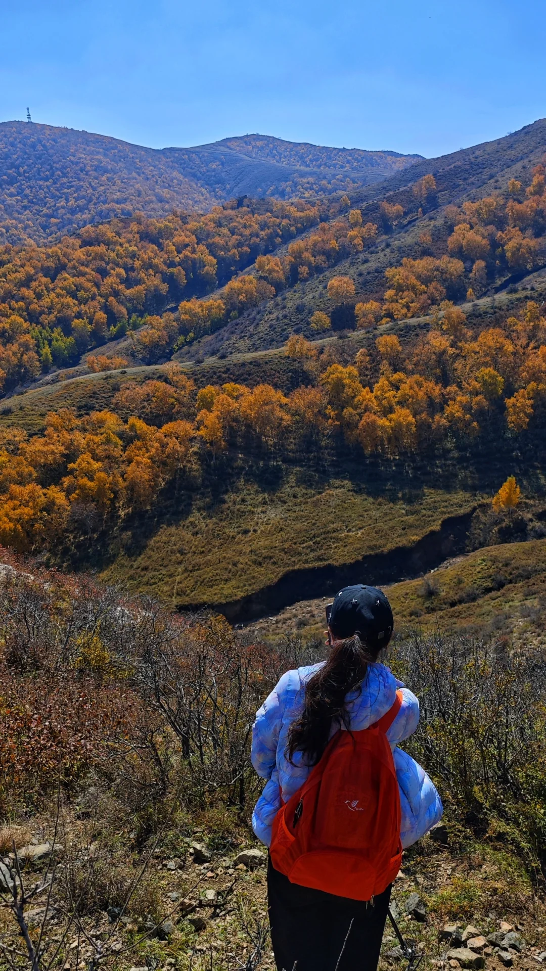 包头以及周边徒步赏秋推荐
