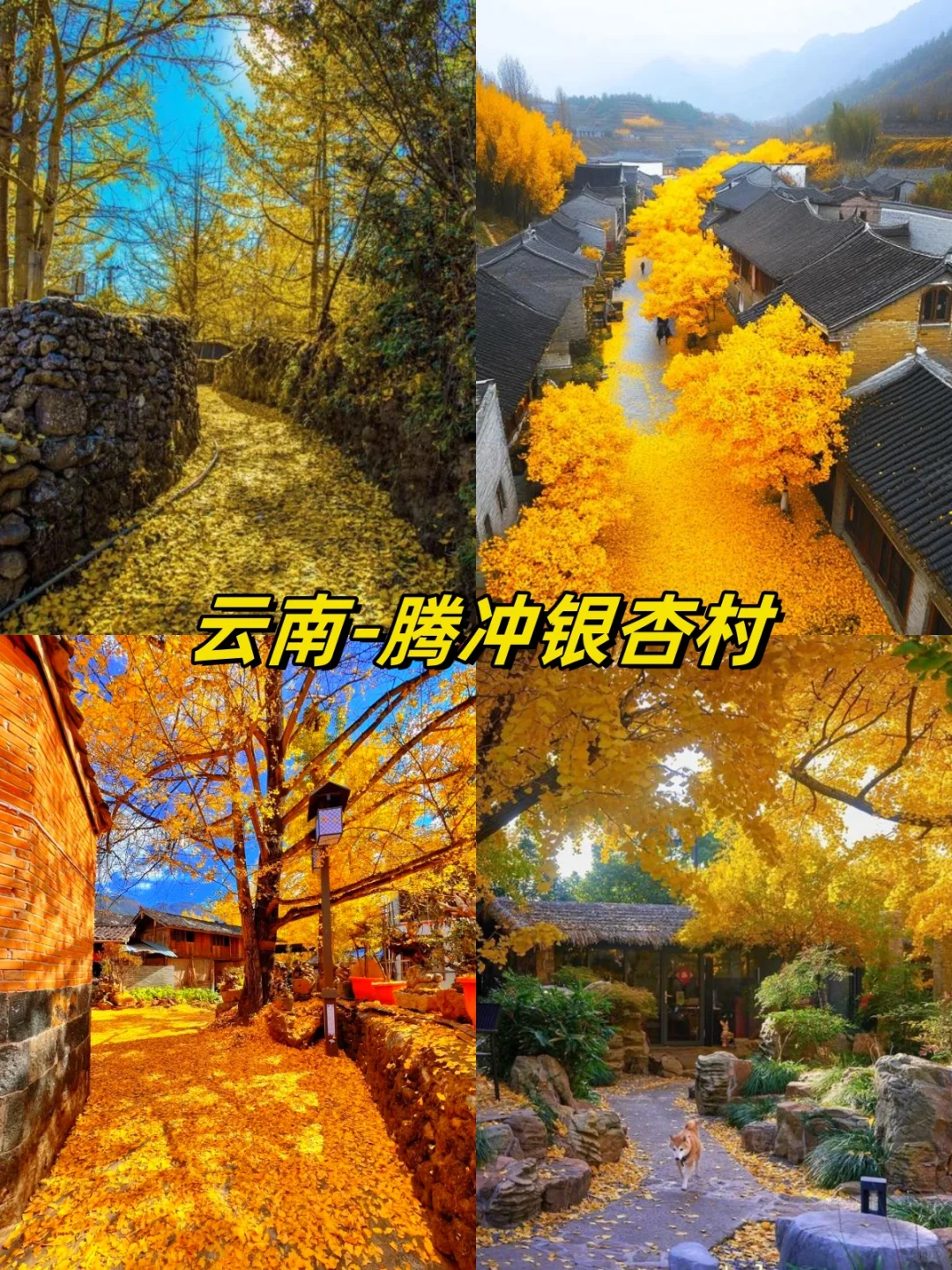 🍁国内秋日限定！13 个赏秋目的地大汇总