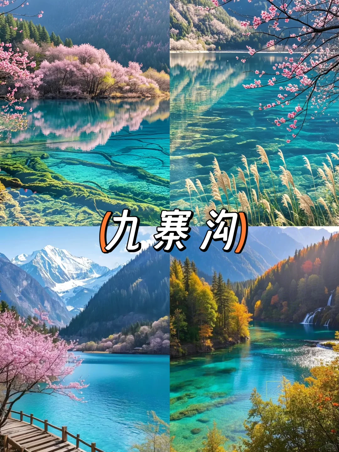 玩7天人均2k多~四川真的是国内旅游天花板！