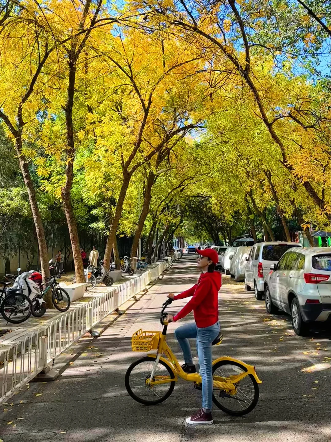 可惜你不来北京，不知道国庆北平之秋有多美