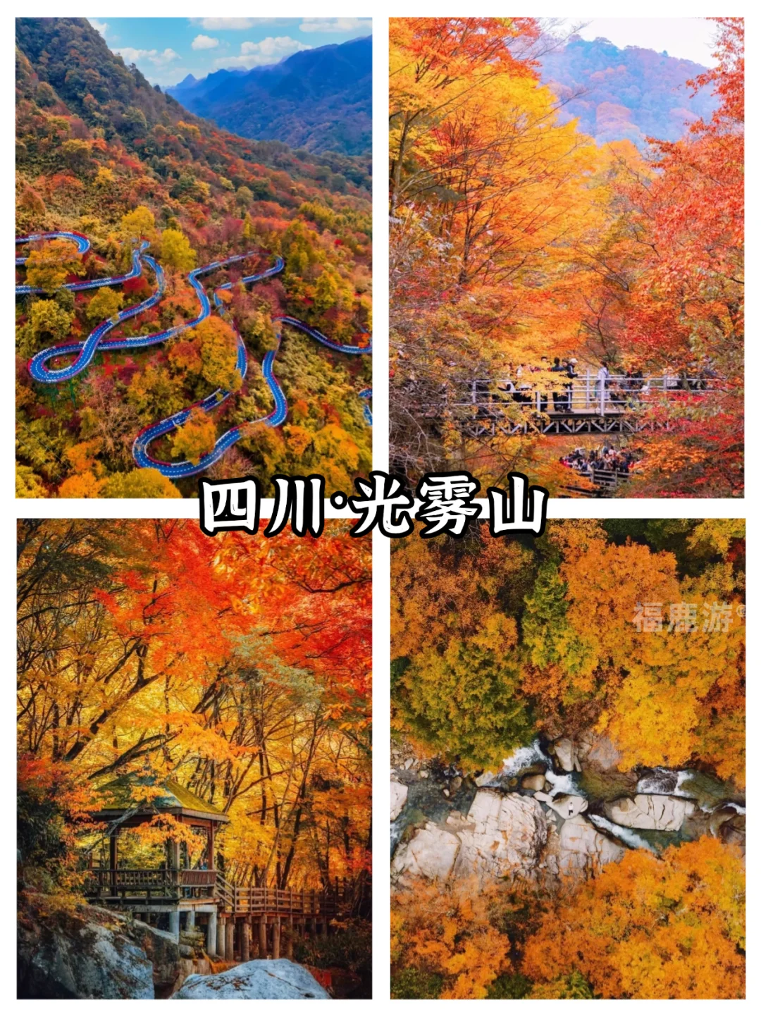 全国10-12月赏秋保姆级攻略|收藏这篇就够了
