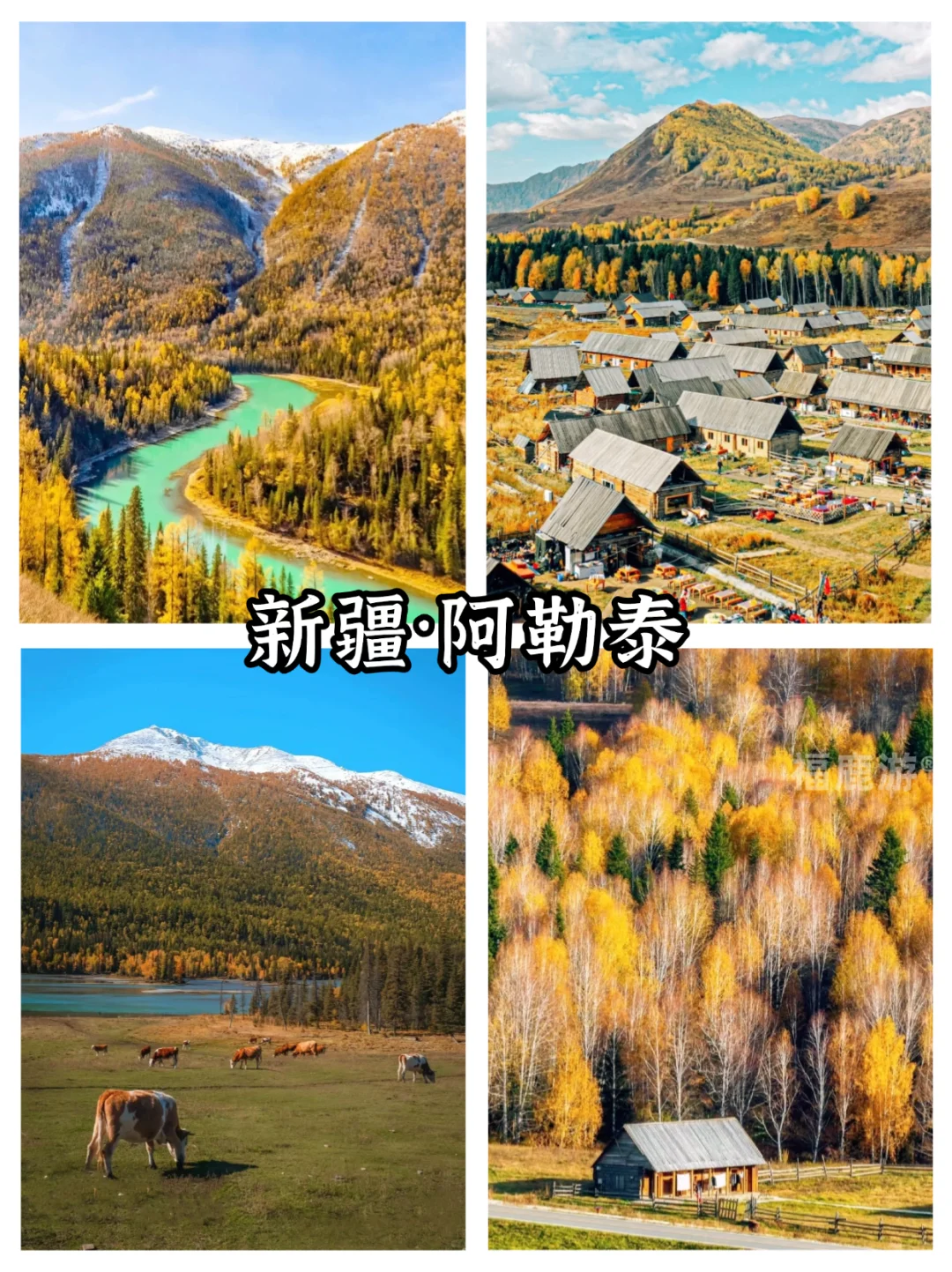 全国10-12月赏秋保姆级攻略|收藏这篇就够了