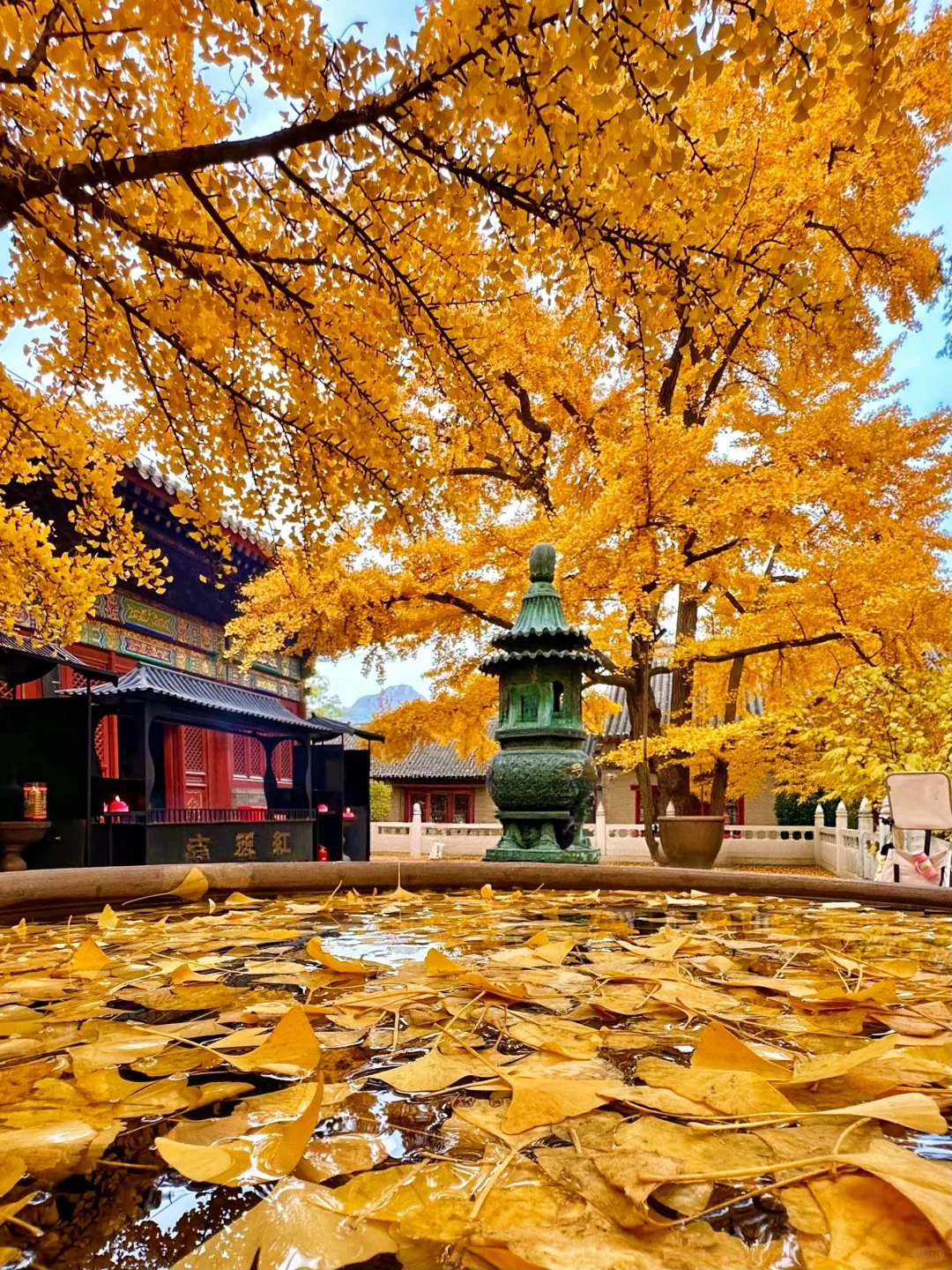 可惜你不来北京，不知道国庆北平之秋有多美