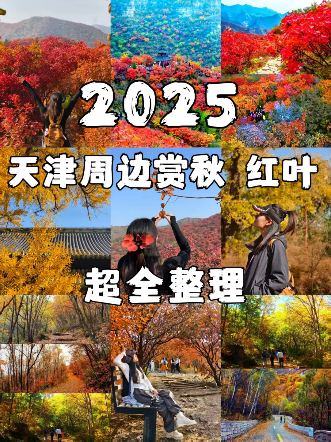 2025 家门口的红叶🍁天津周边赏秋🍂