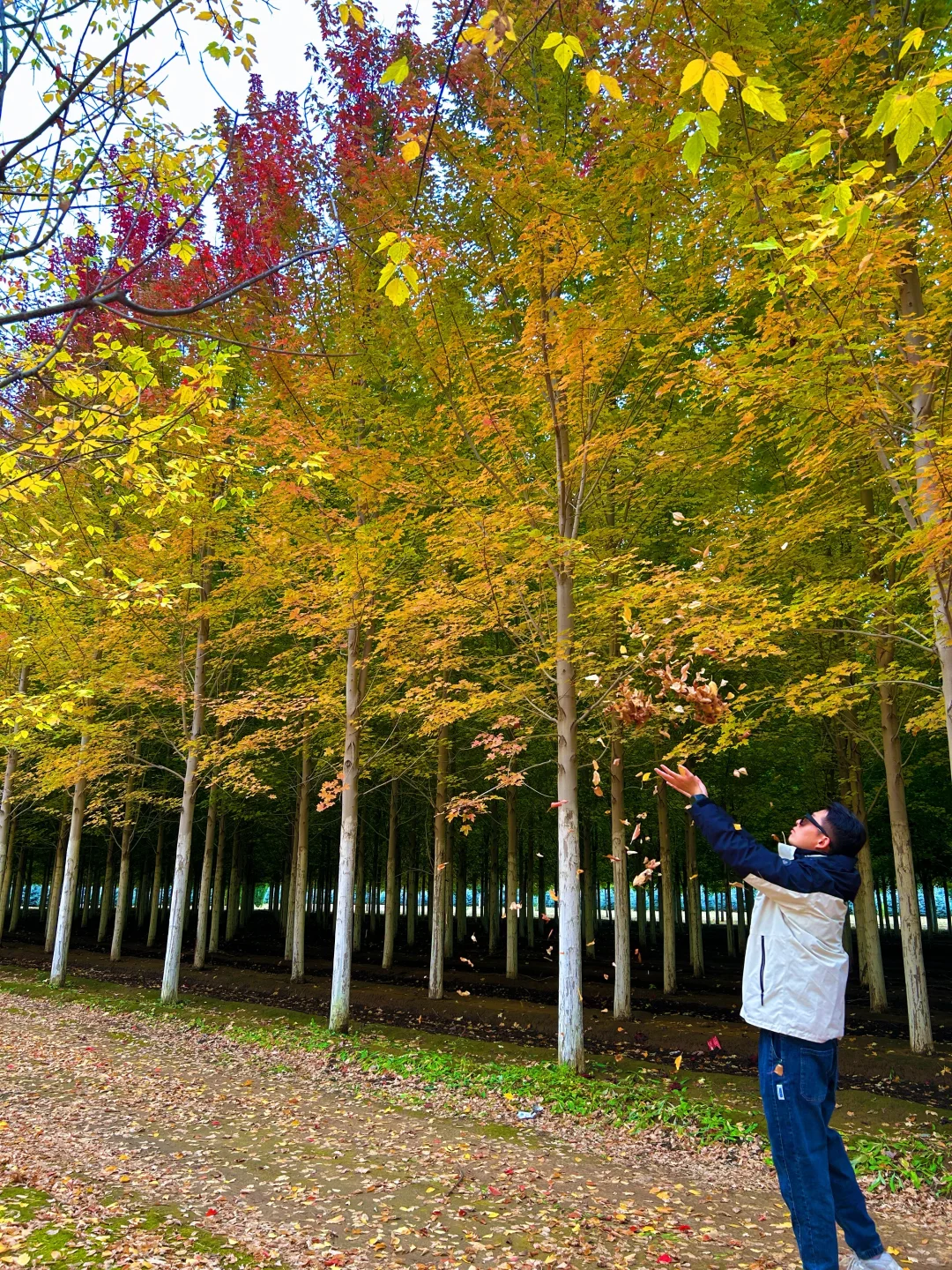 10.12实况，京郊2h🚗秋天必须去的宝藏秘境🍁