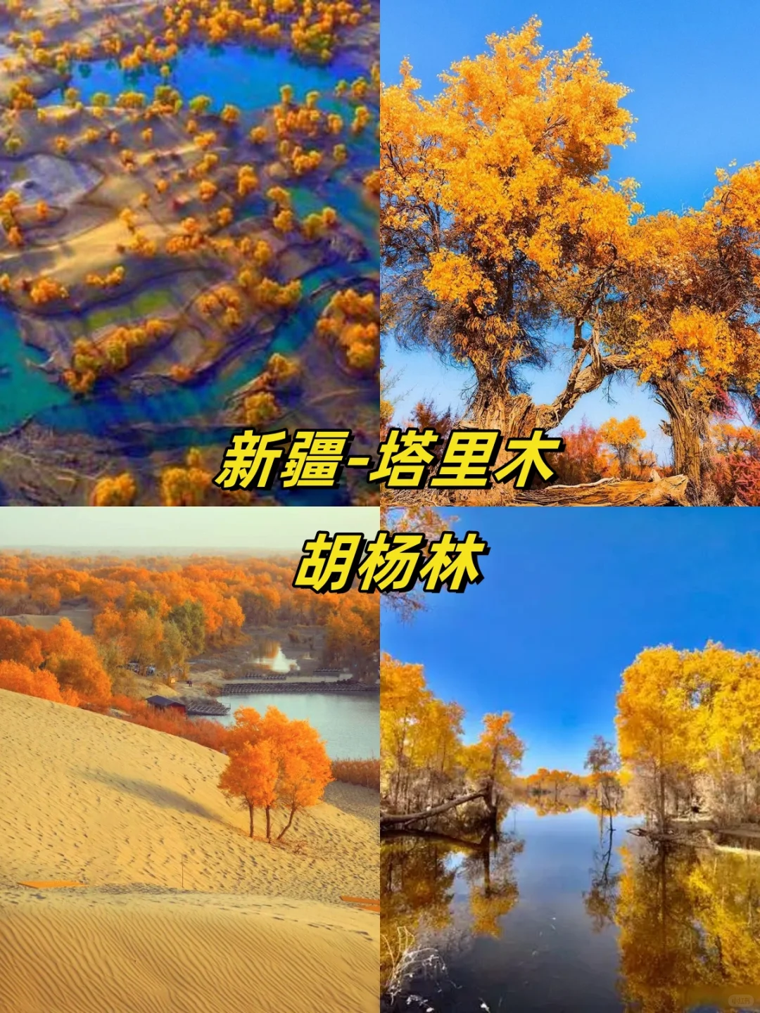 🍁国内秋日限定！13 个赏秋目的地大汇总