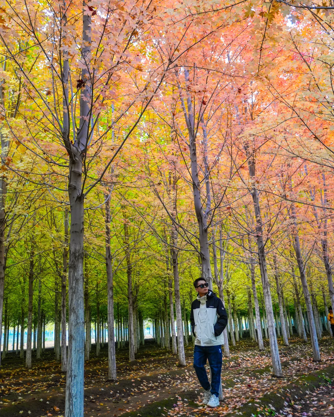 10.12实况，京郊2h🚗秋天必须去的宝藏秘境🍁