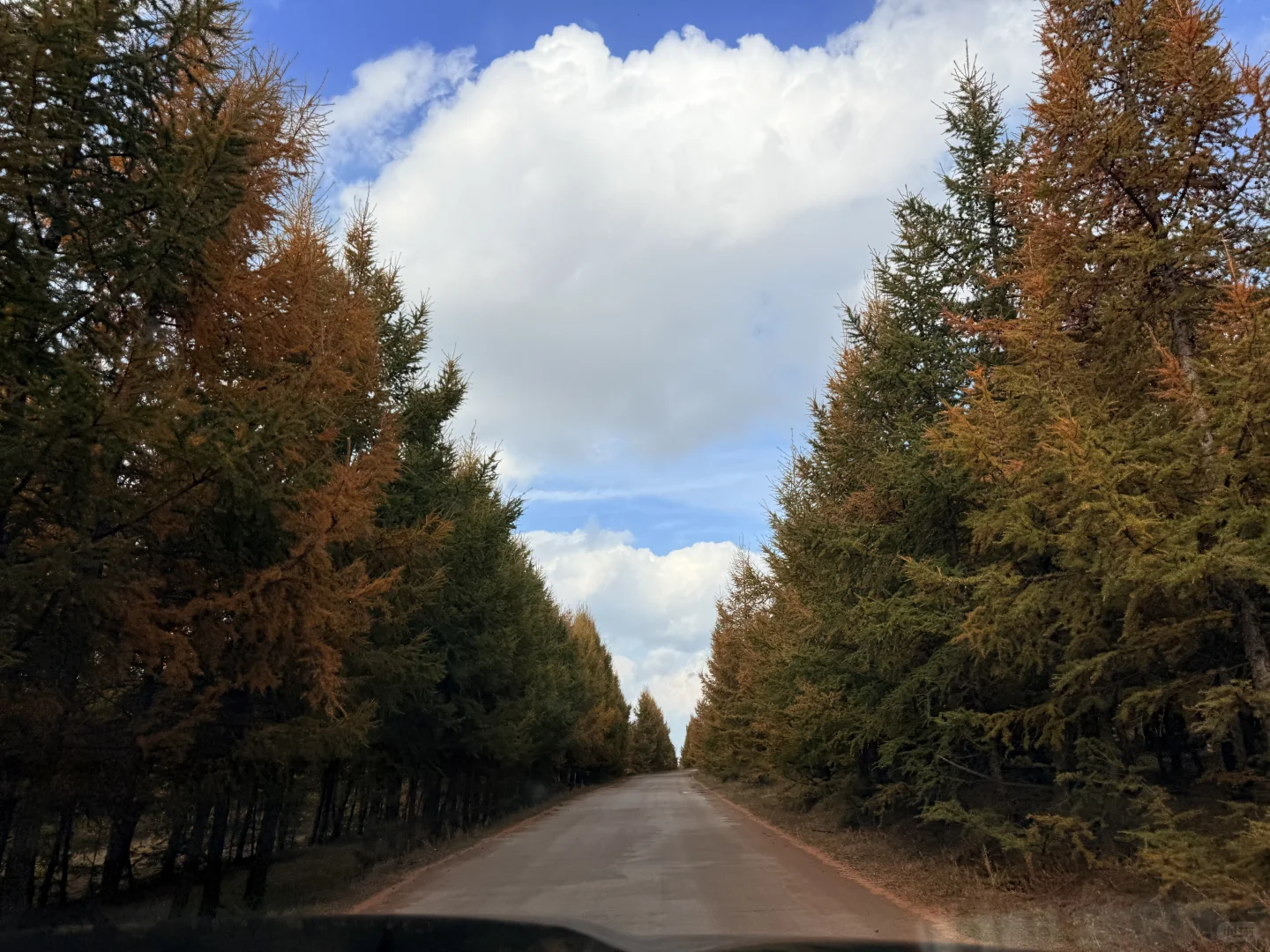🍂 环京秋日自驾天花板！去奔赴一场秋景