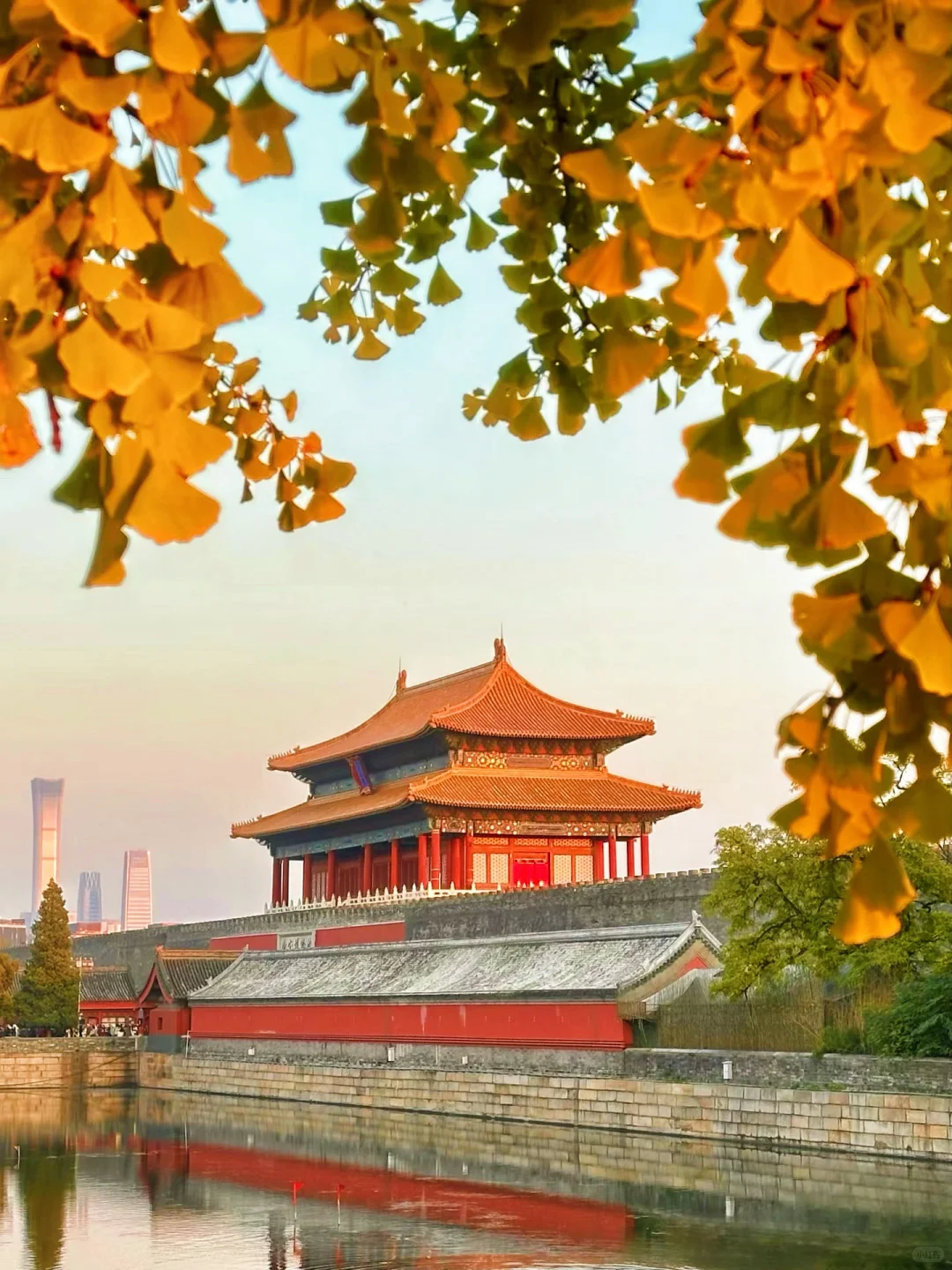 可惜你不来北京，不知道国庆北平之秋有多美