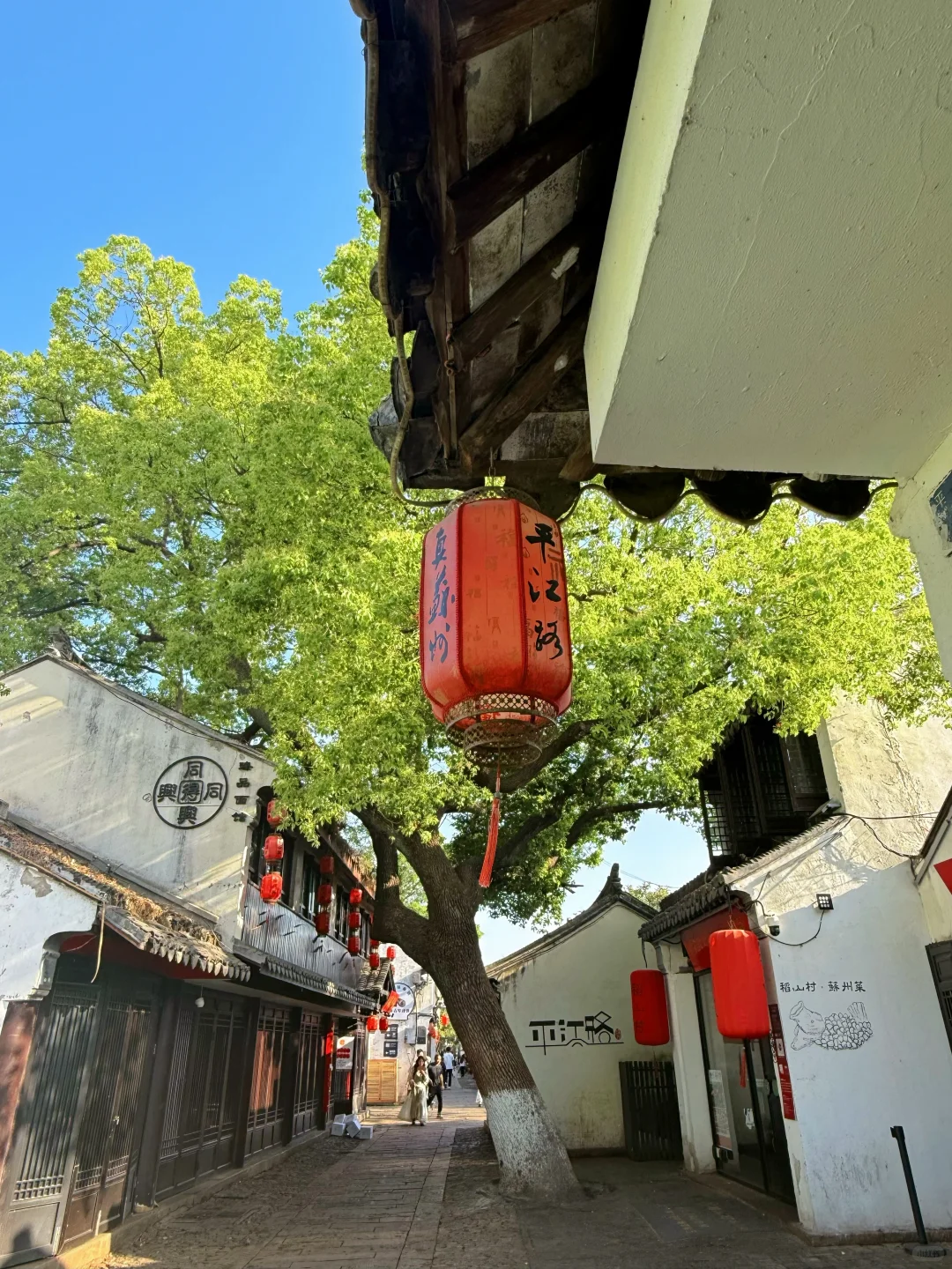为了这1️⃣5️⃣张人生照‼️我特意去了趟苏州