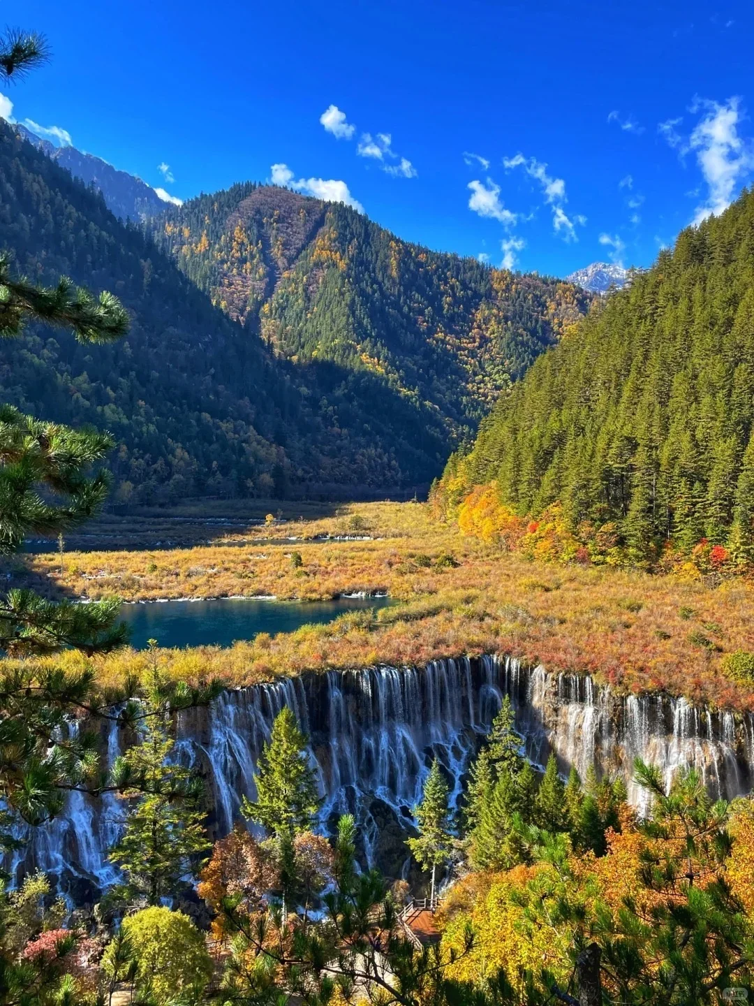 10.14📍九寨沟现状崩溃！能劝一个是一个