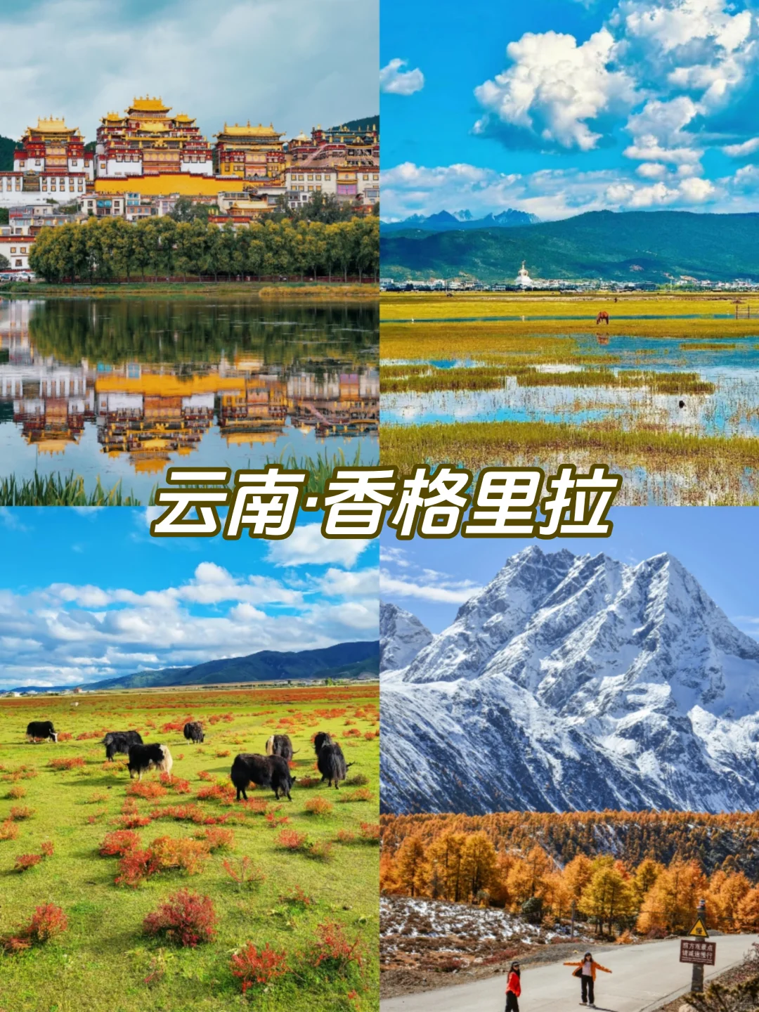 🍂《国内赏秋天花板》9大秘境·抢先收藏！