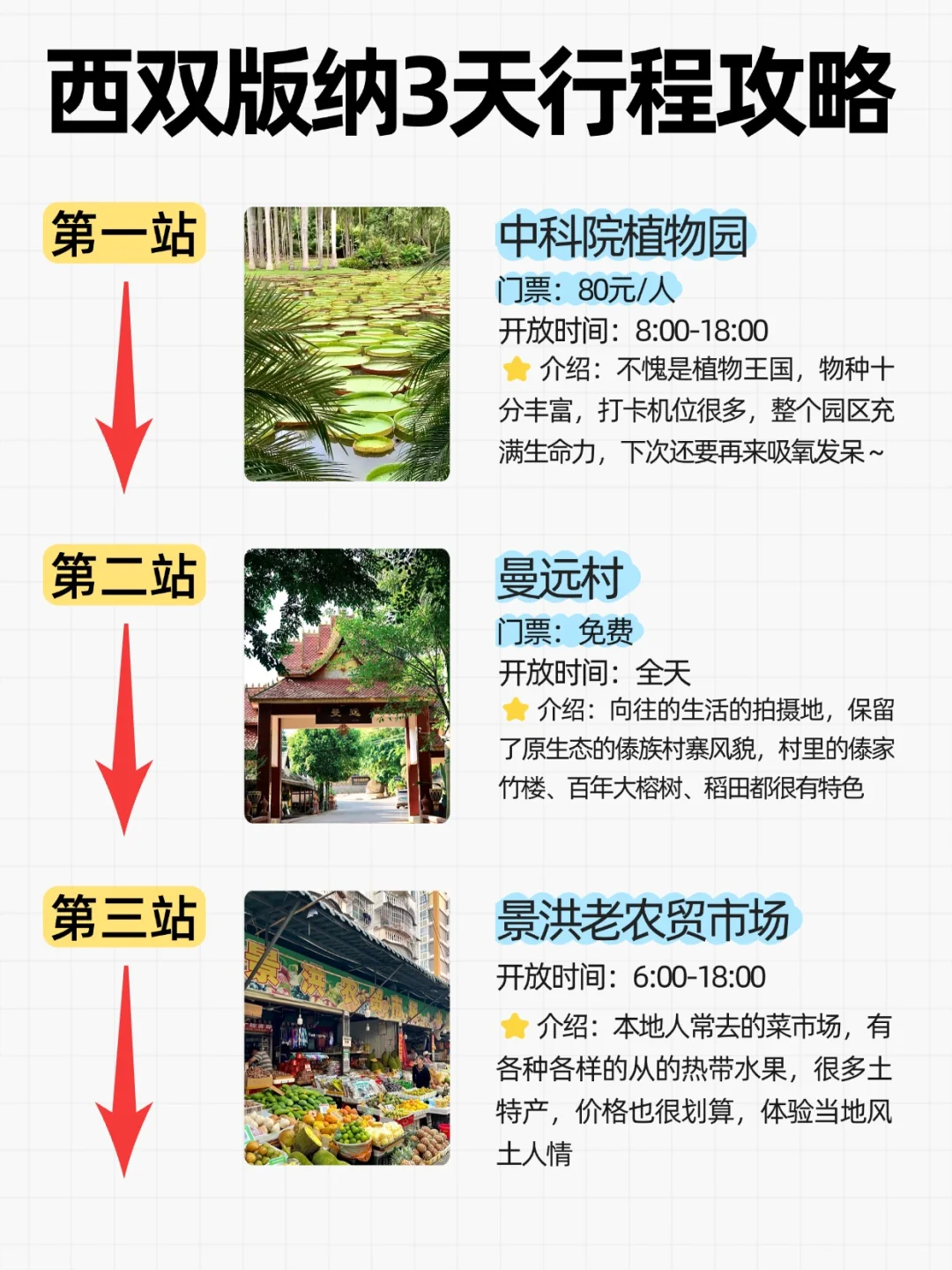版纳3日游｜8大景点+美食住宿