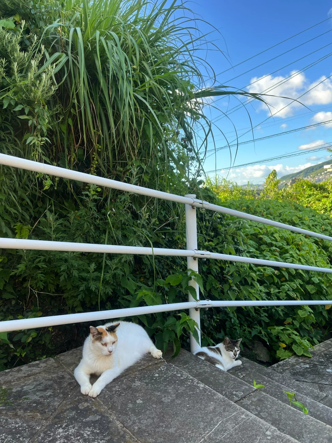 长崎真的非常像漫画「你的名字」