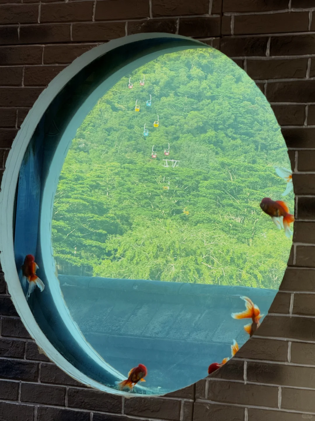 ⛩️珠海圆明新园｜一秒穿魂穿Peking