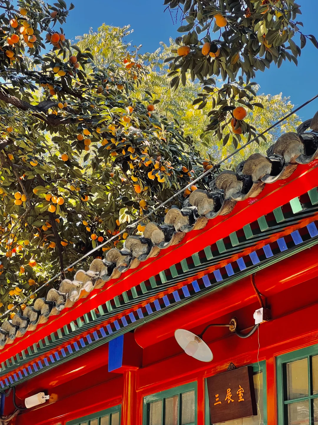 北京赏秋🍂暴走2w步总结的胡同Citywalk路线