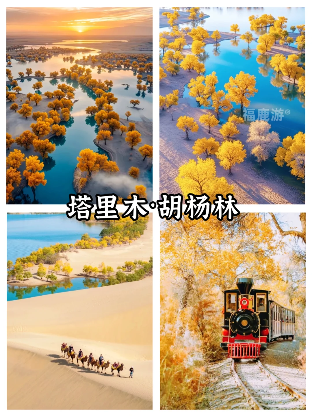 全国10-12月赏秋保姆级攻略|收藏这篇就够了
