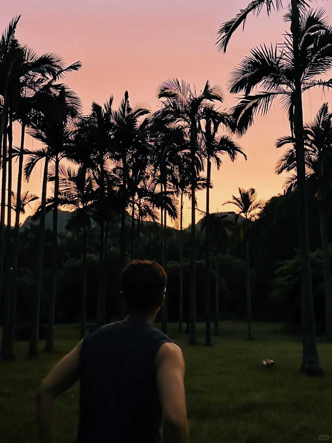 INFP会无数次沉溺于日落和晚霞🌄