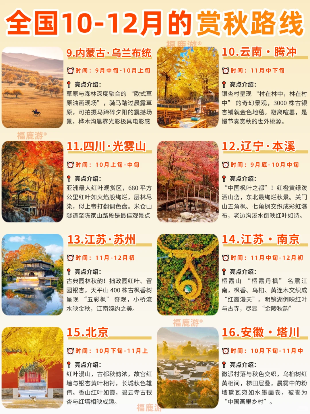 全国10-12月赏秋保姆级攻略|收藏这篇就够了