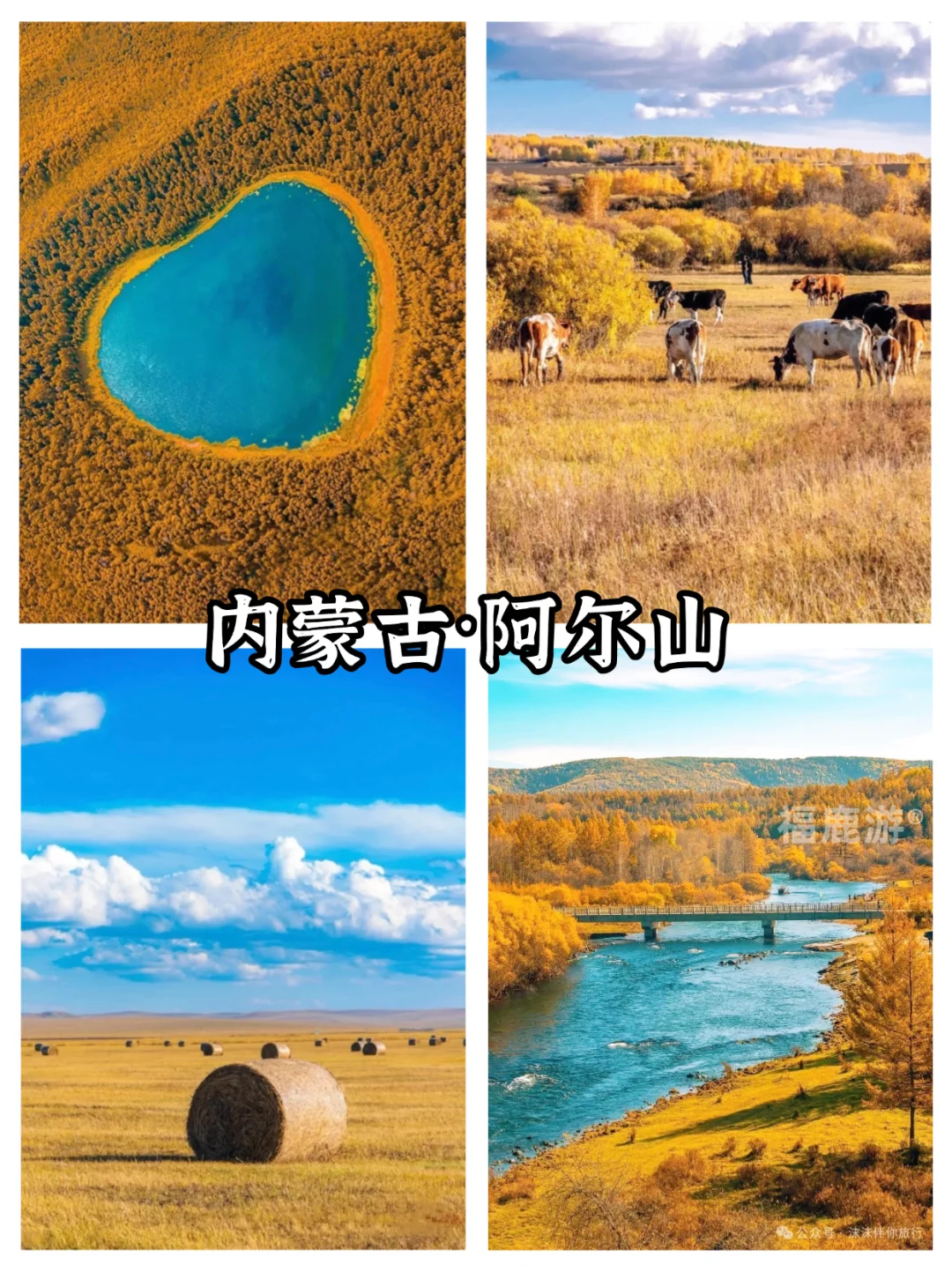 全国10-12月赏秋保姆级攻略|收藏这篇就够了