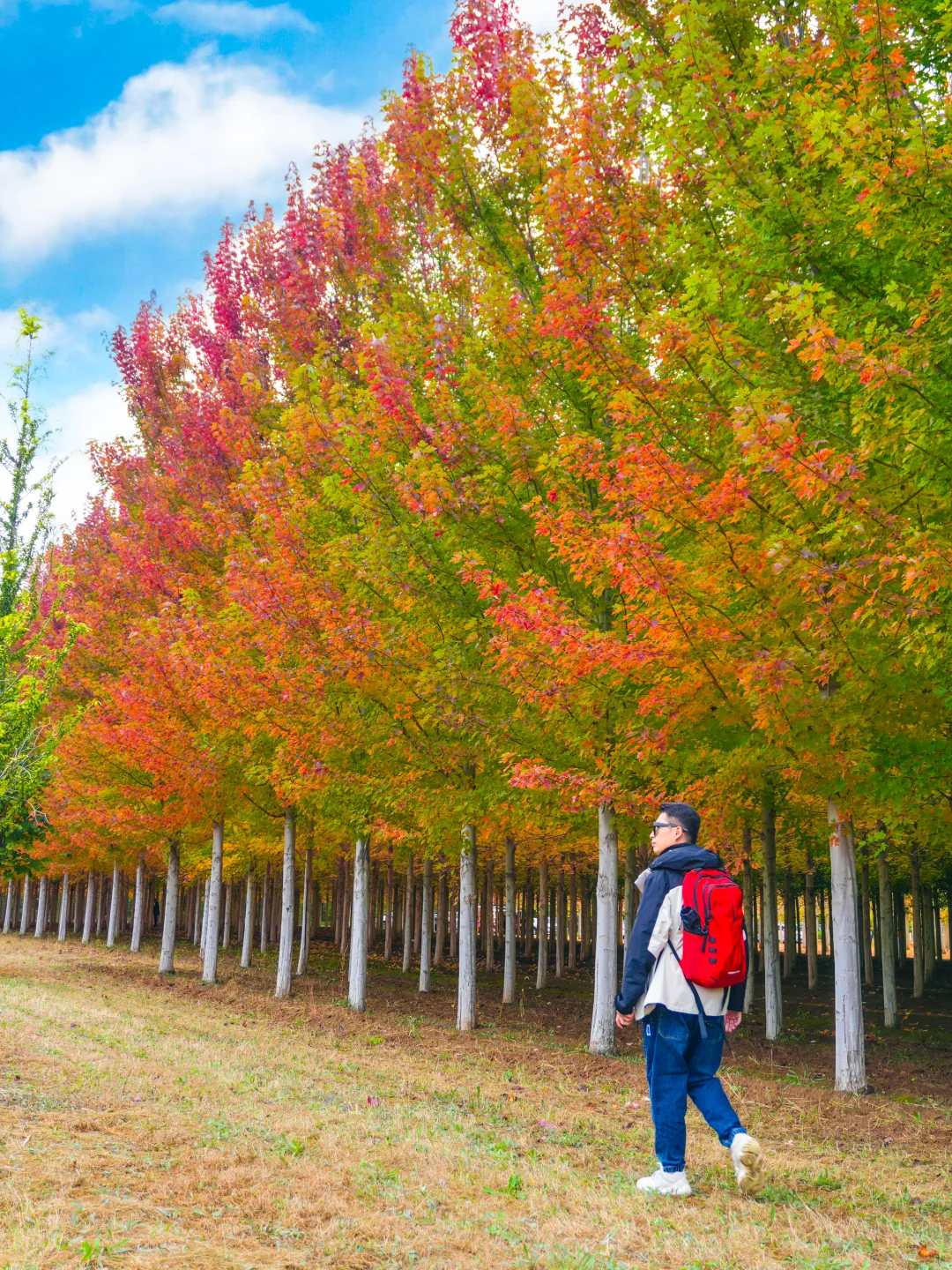 10.12实况，京郊2h🚗秋天必须去的宝藏秘境🍁