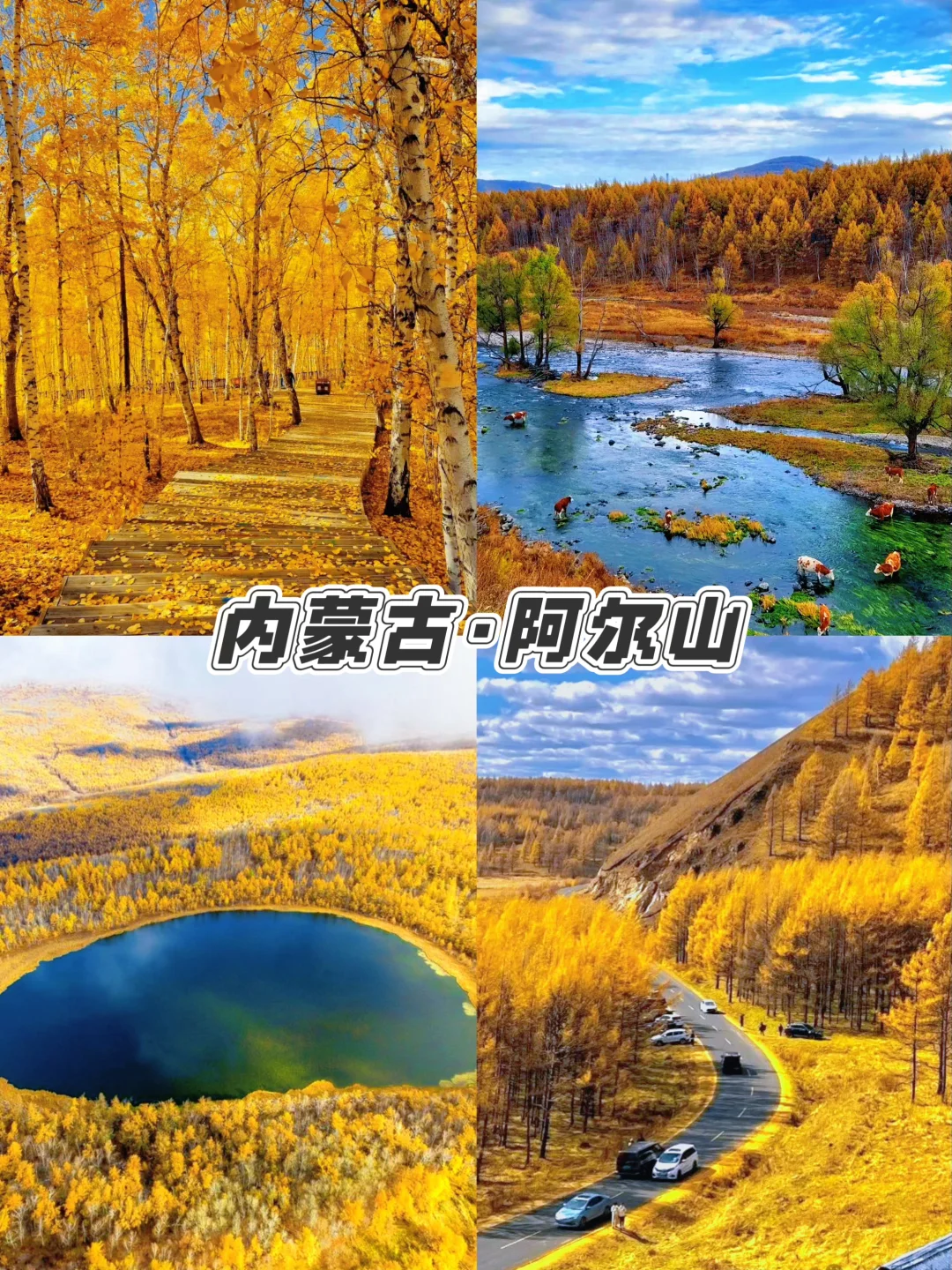 🍁9-12月必打卡城市，美到窒息，错过等一年！