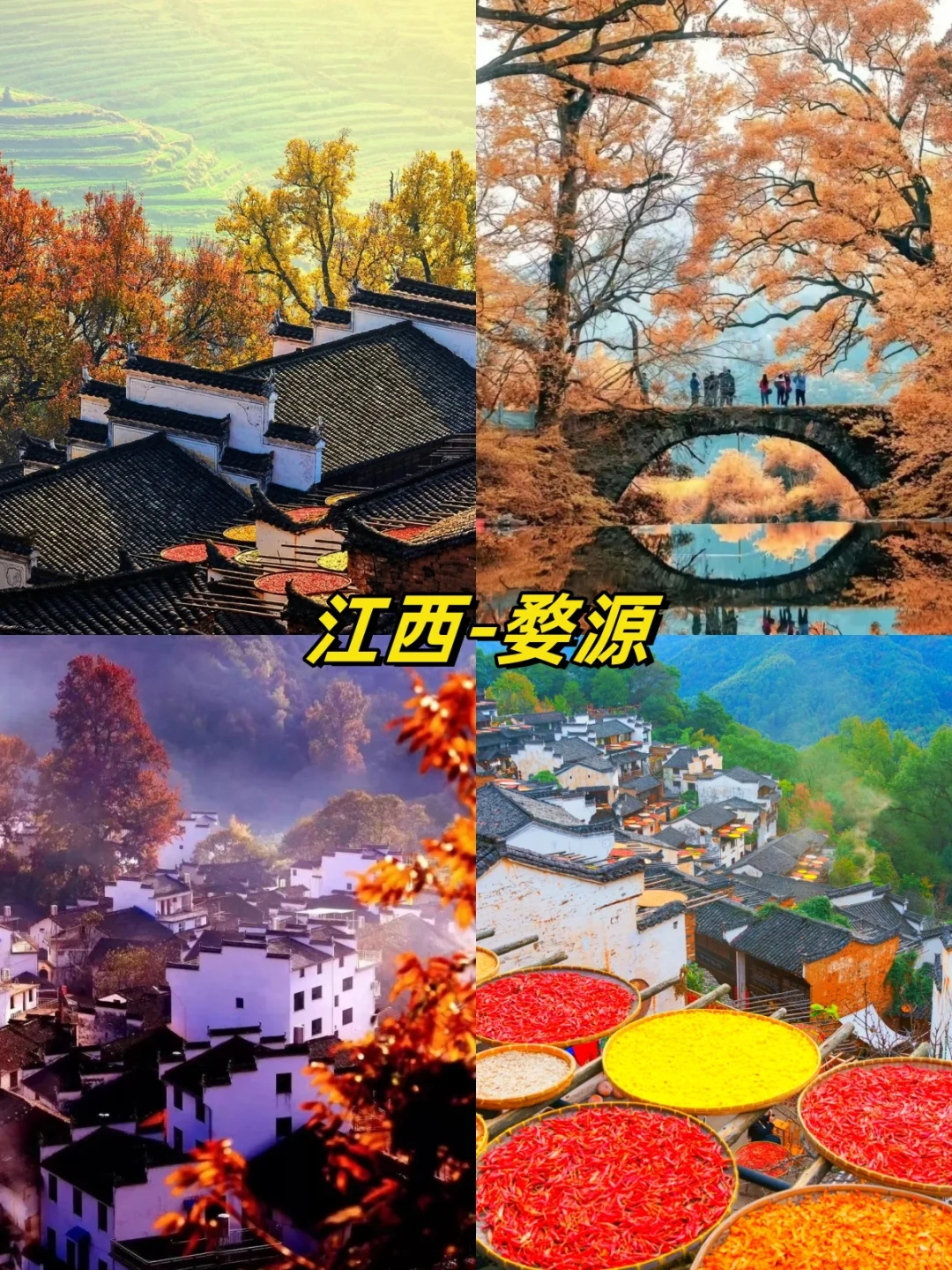 🍁国内秋日限定！13 个赏秋目的地大汇总