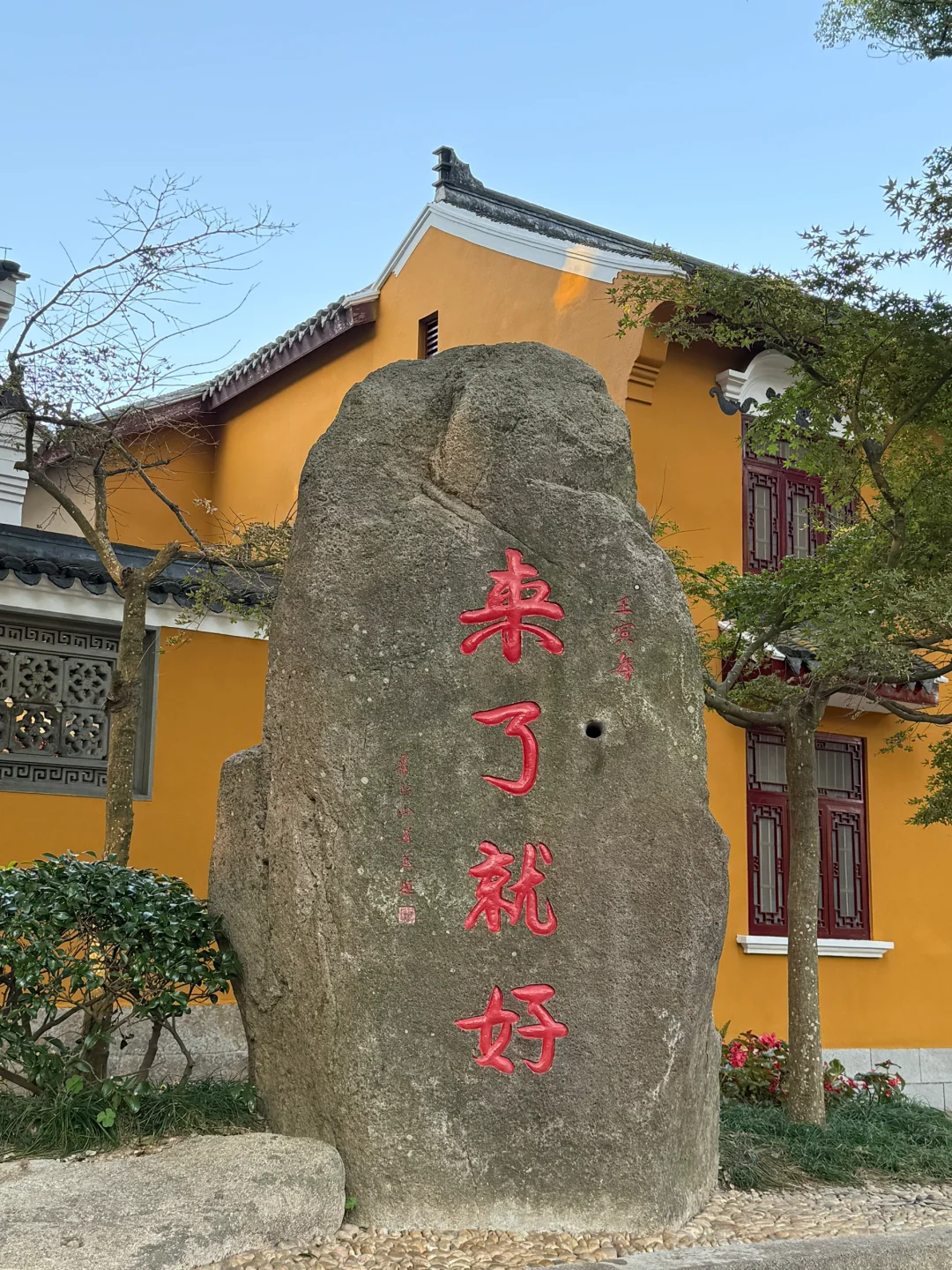 🌟 普陀山:一个人的朝圣之旅