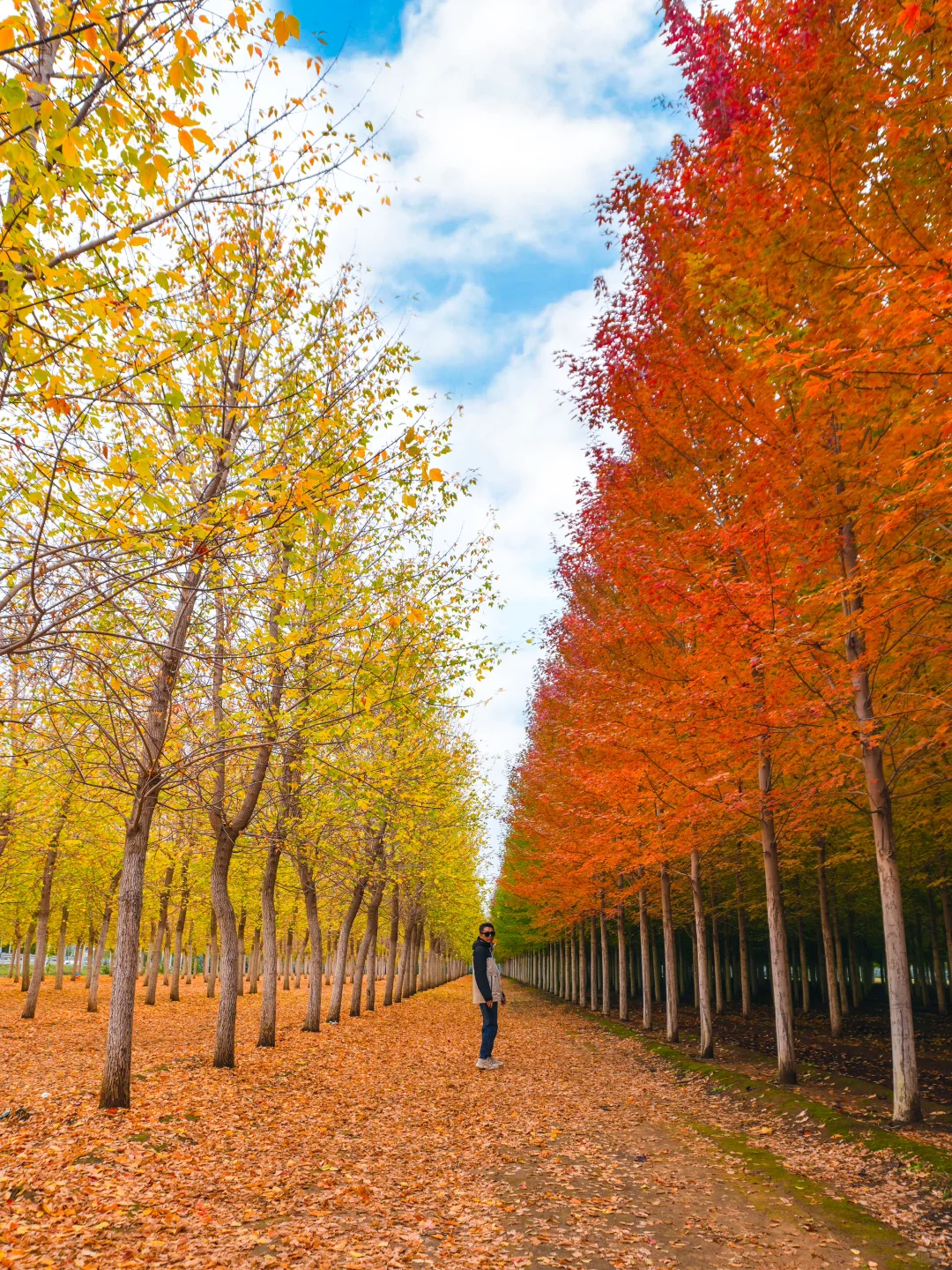 10.12实况，京郊2h🚗秋天必须去的宝藏秘境🍁