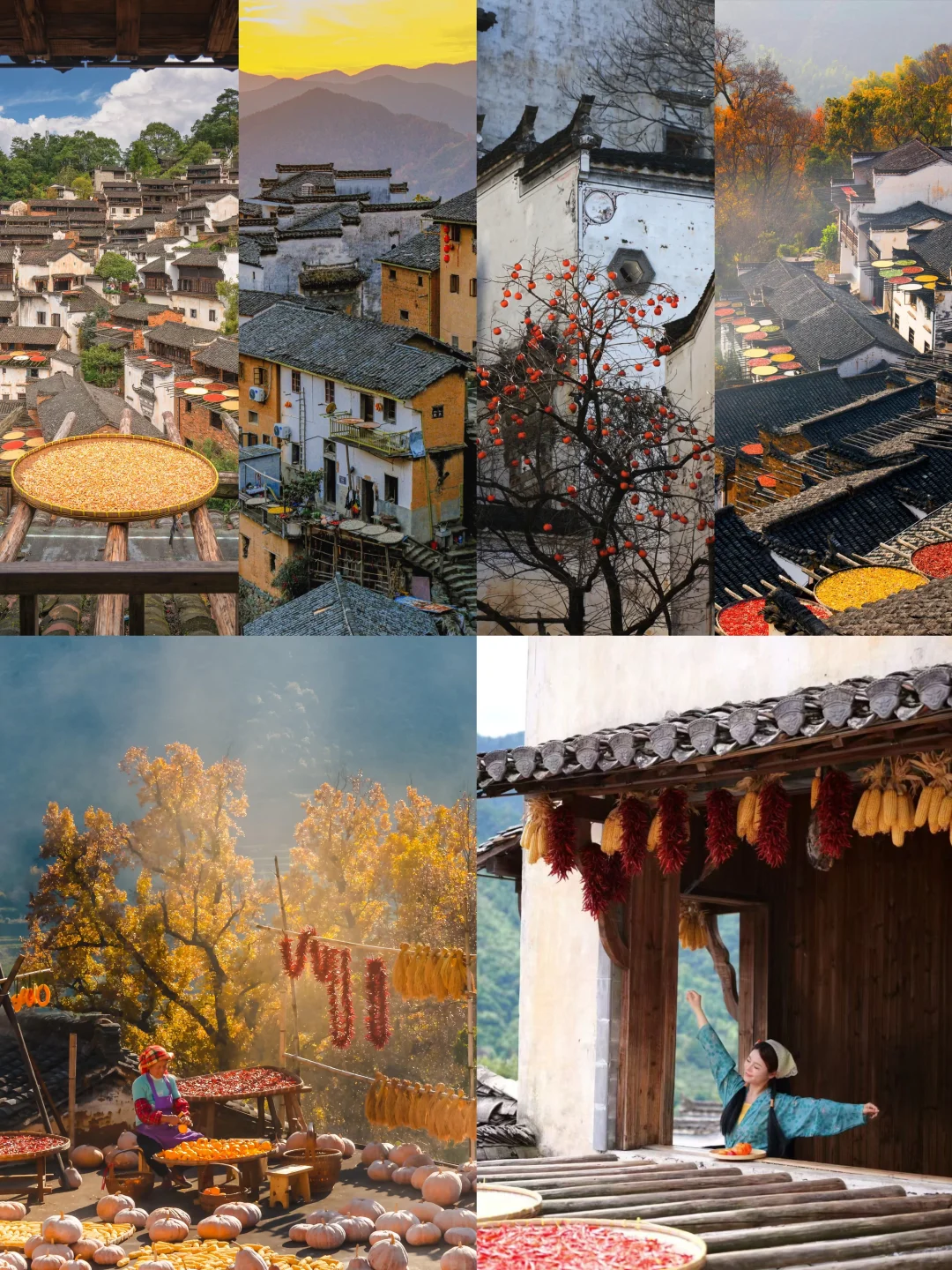 十一月的篁岭，堪称国内旅游的天花板❗️
