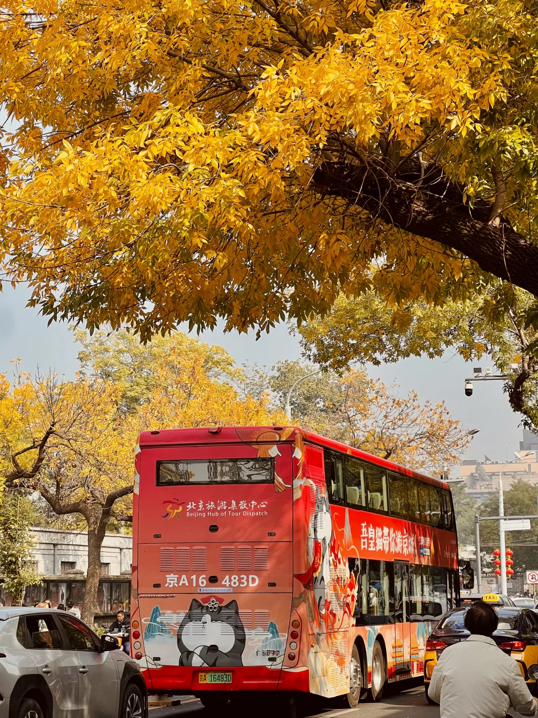 北京赏秋🍂暴走2w步总结的胡同Citywalk路线