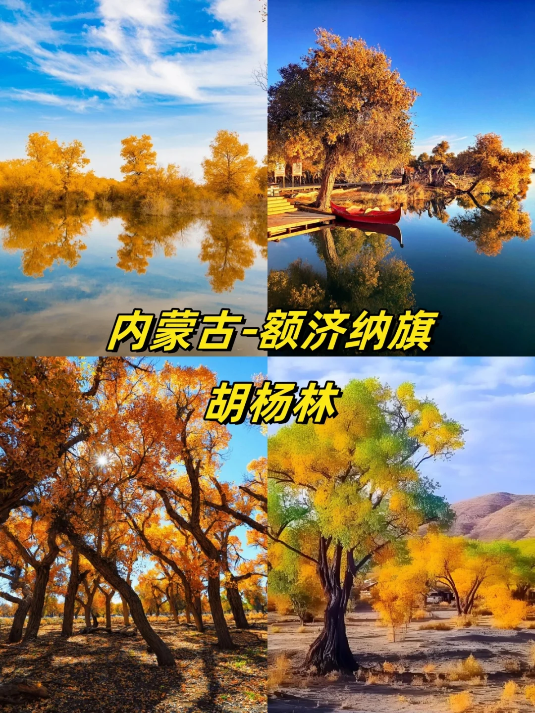 🍁国内秋日限定！13 个赏秋目的地大汇总