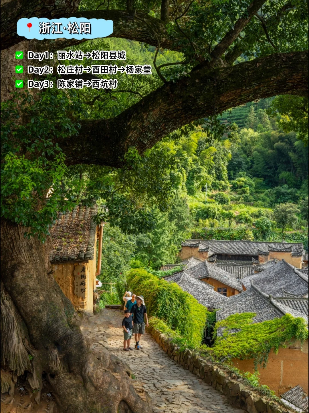 10～11月去哪❓来这些地放真的会爱上秋天❗