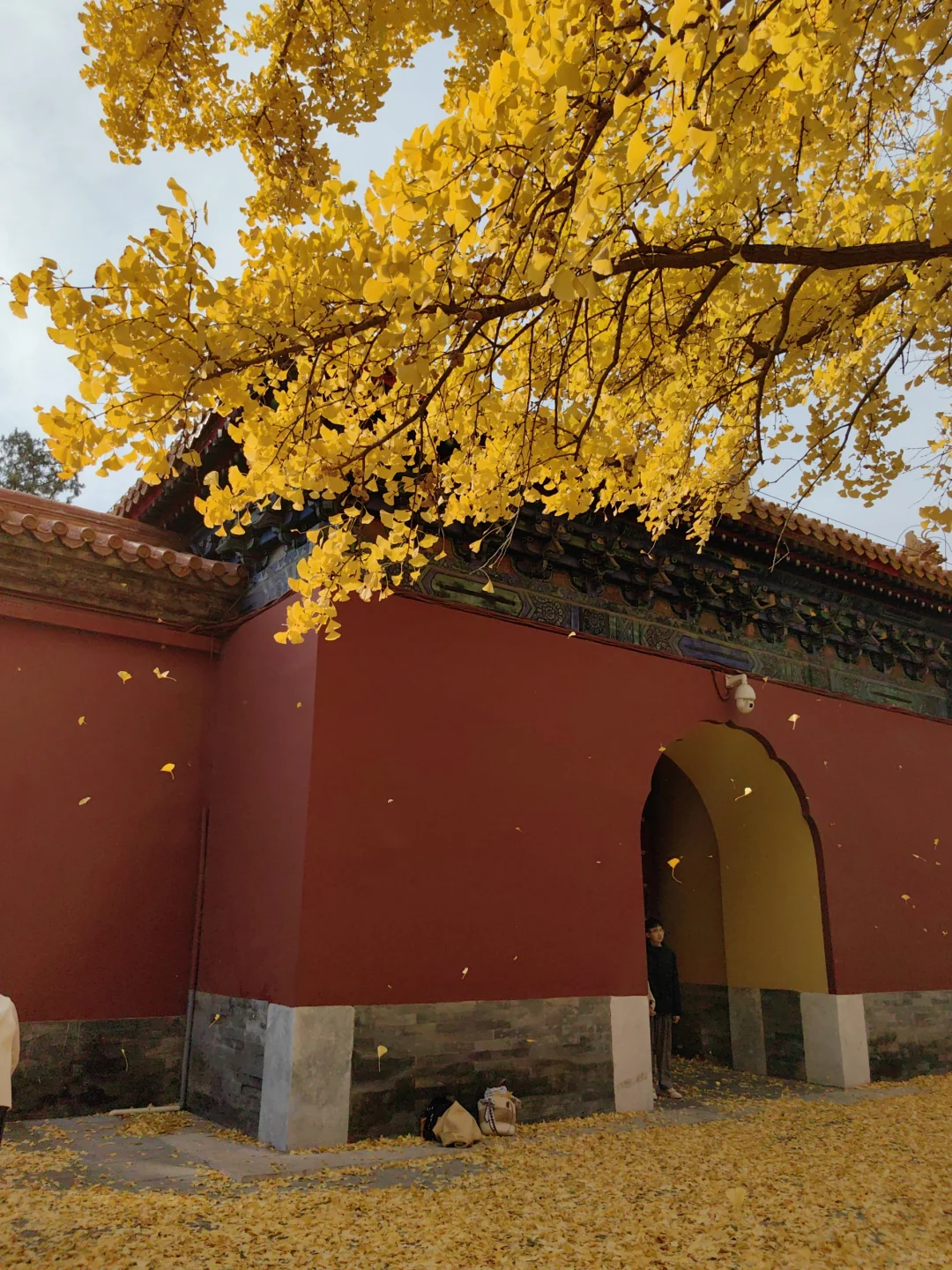 跟风成功!北京赏秋打卡地详细路线