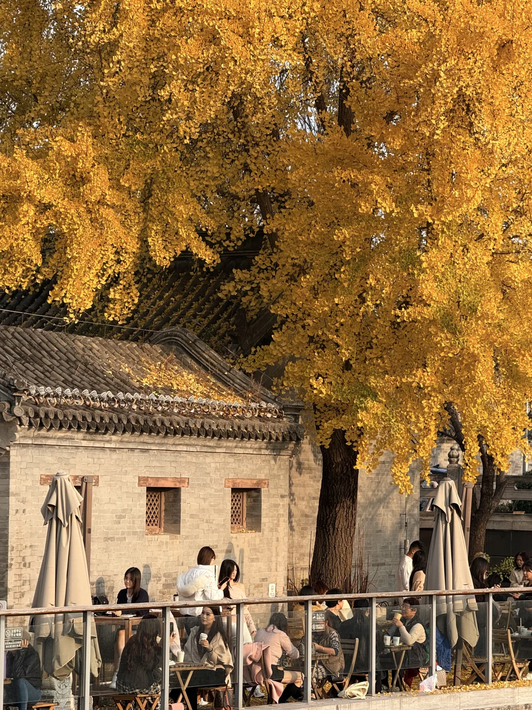 北京赏秋🍂暴走2w步总结的胡同Citywalk路线