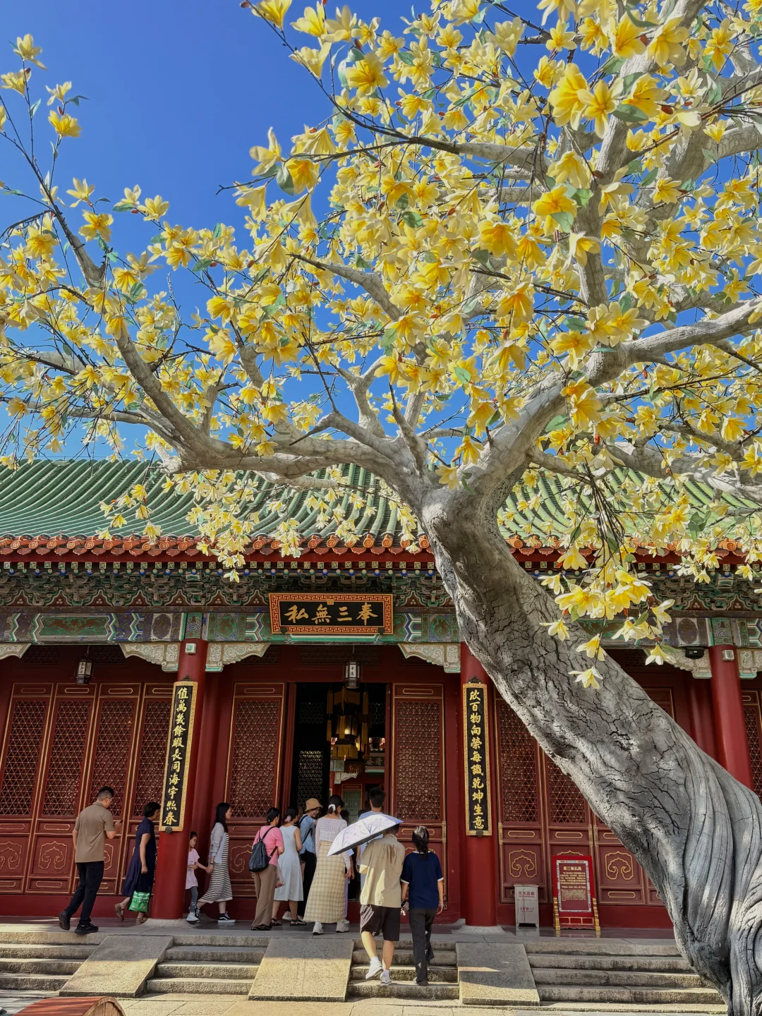 ⛩️珠海圆明新园｜一秒穿魂穿Peking